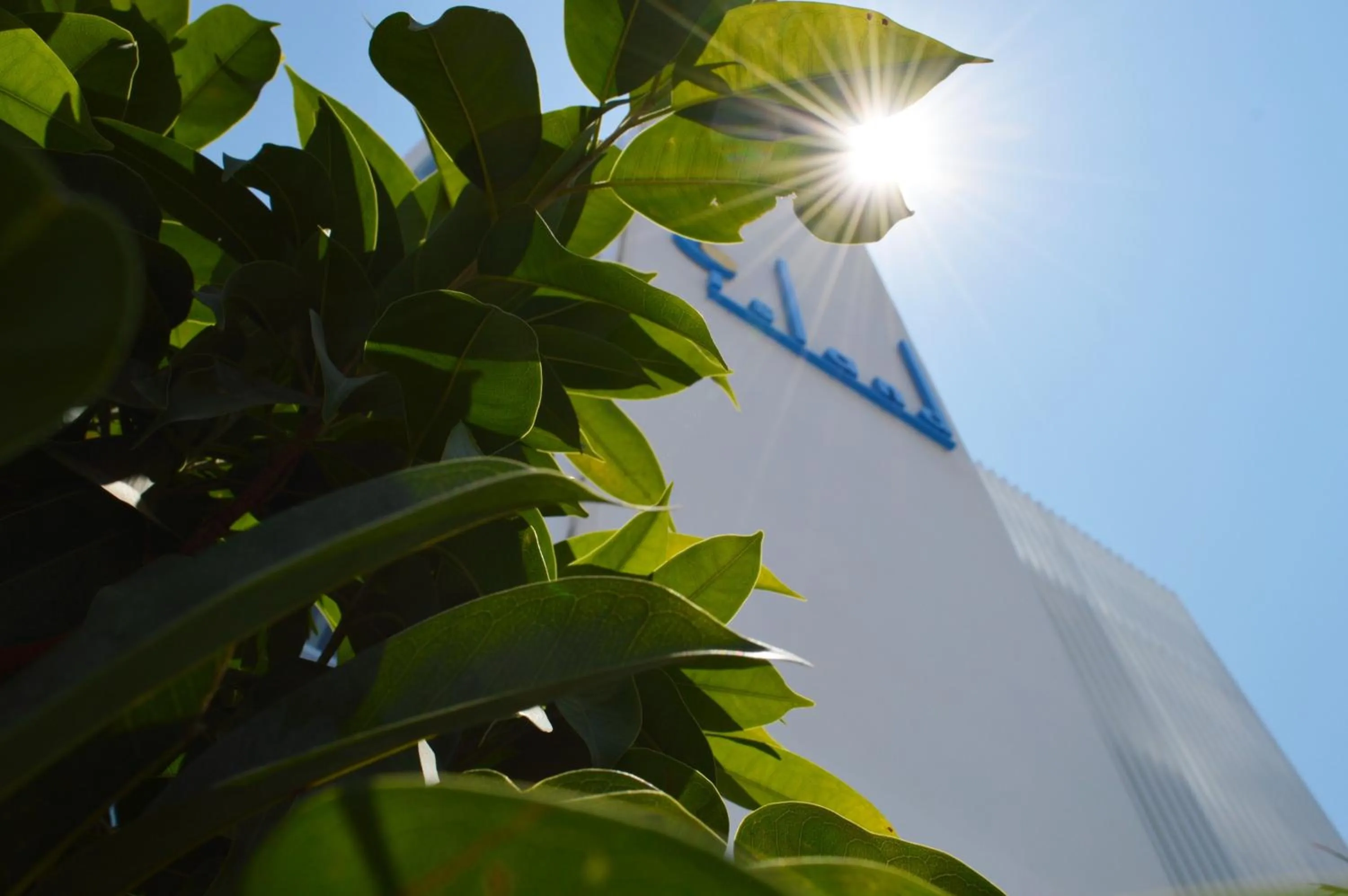 Facade/entrance in Island Boutique Hotel