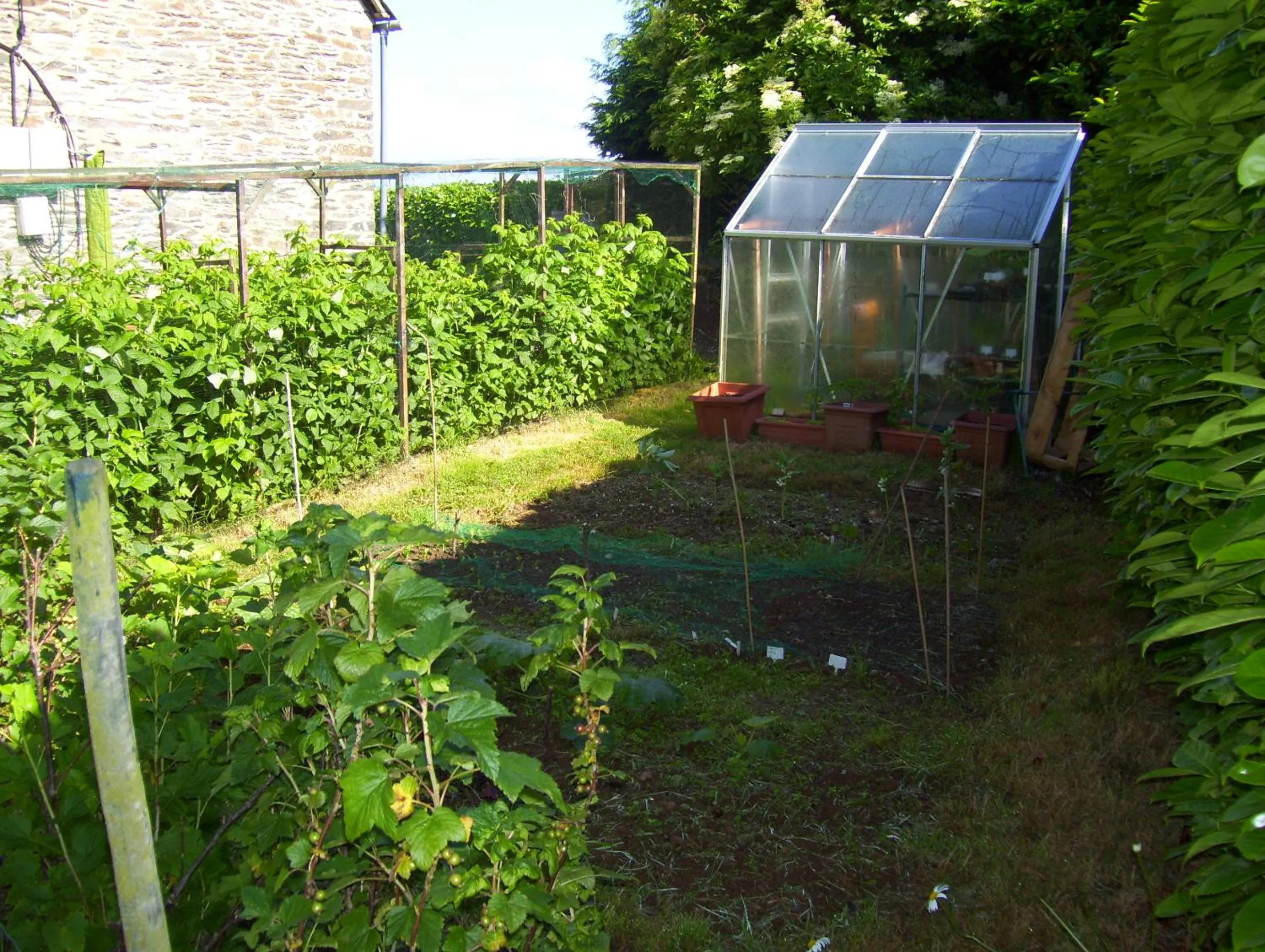 Garden in Le Boterff Gites et Camping