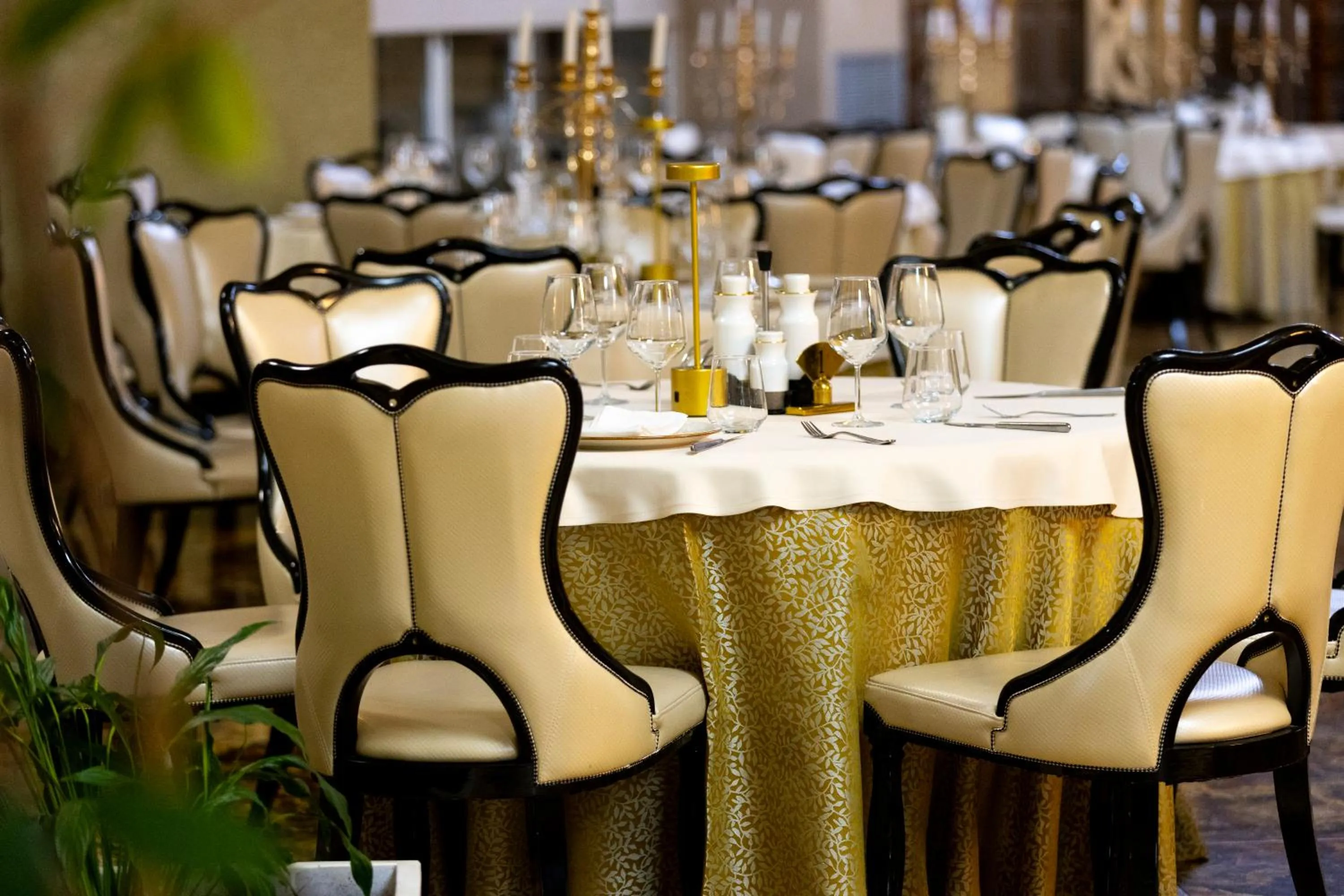 Restaurant/places to eat in Hotel Bleart