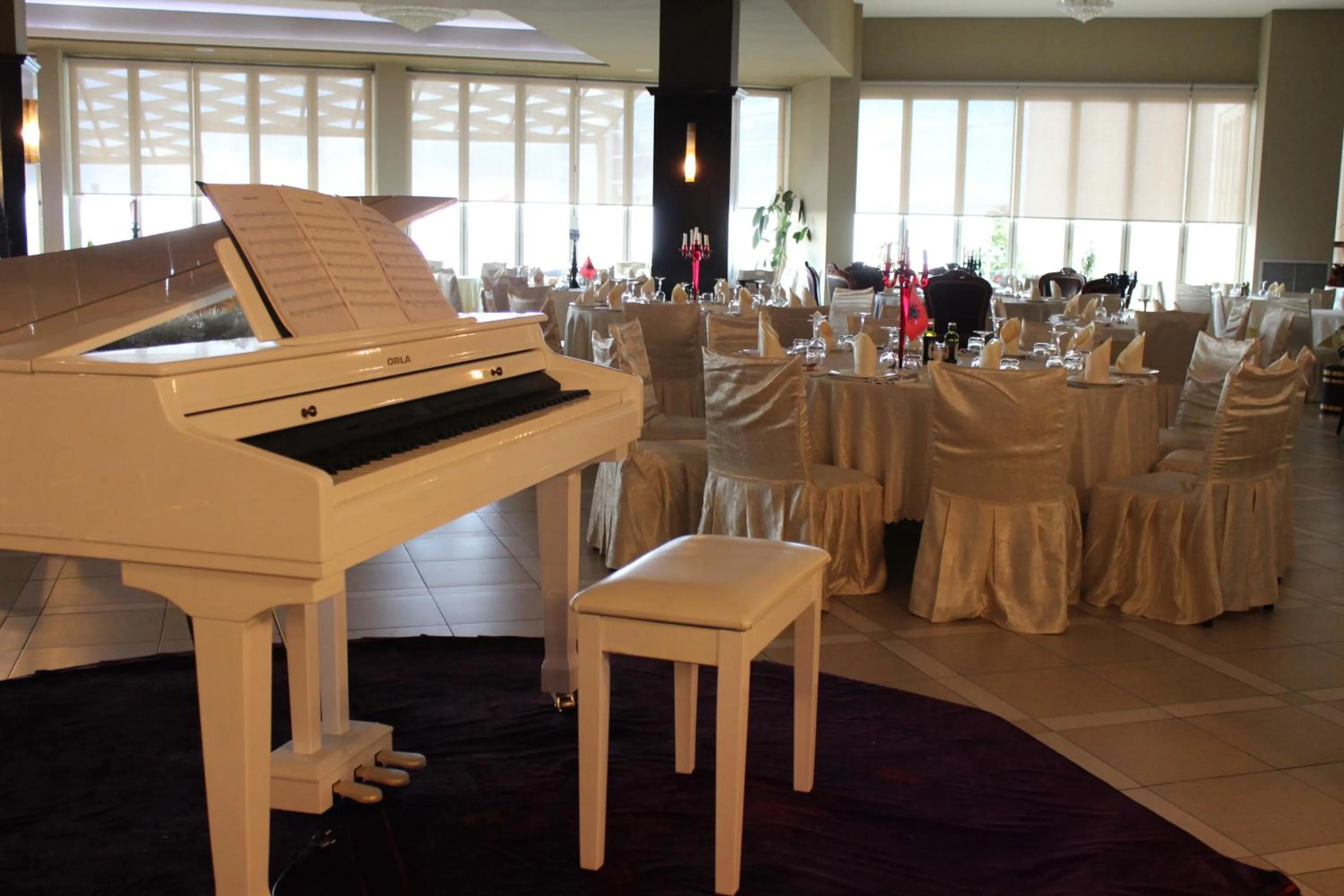 Banquet/Function facilities in Hotel Bleart