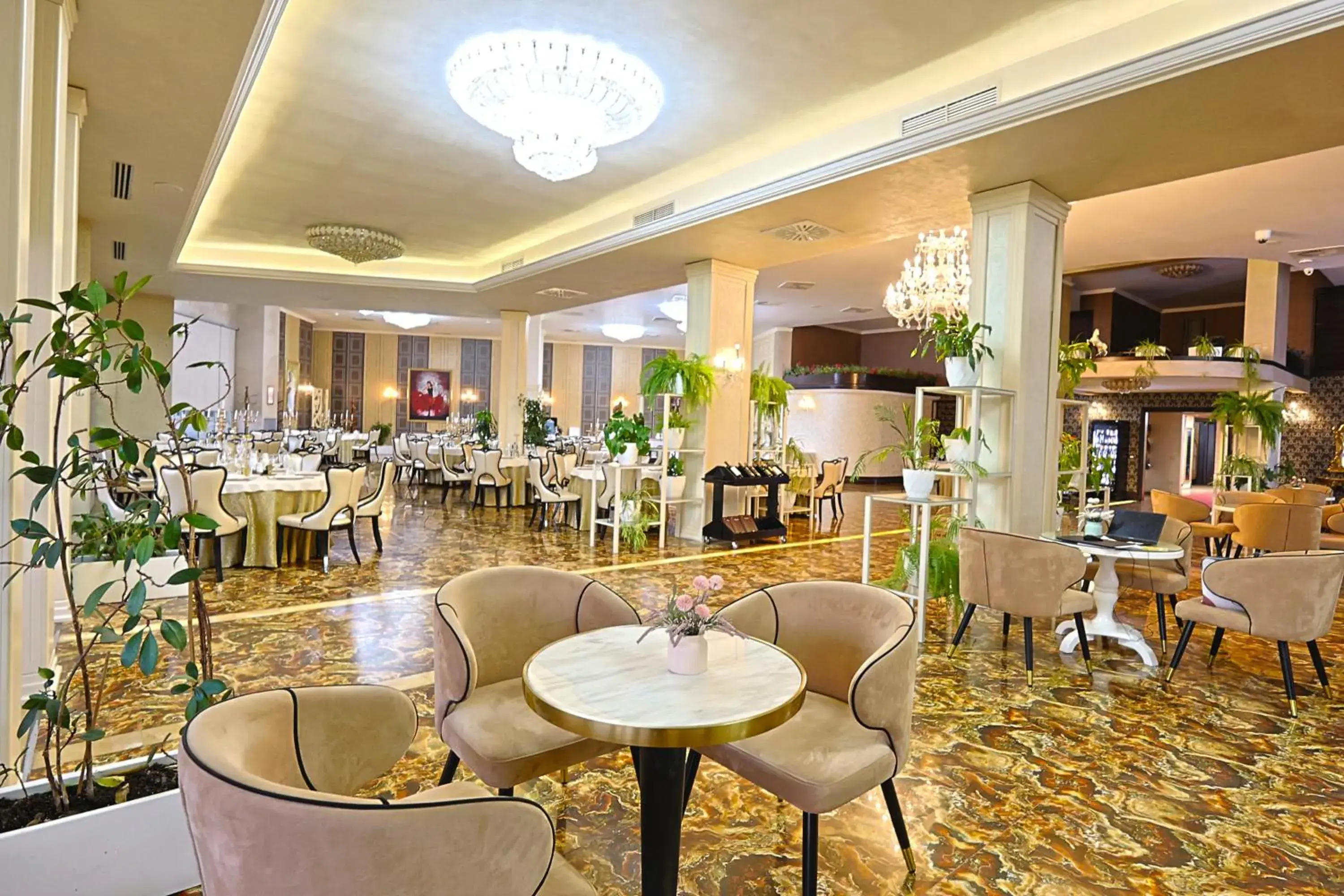 Restaurant/places to eat in Hotel Bleart Restaurant/places to eat in Hotel Bleart