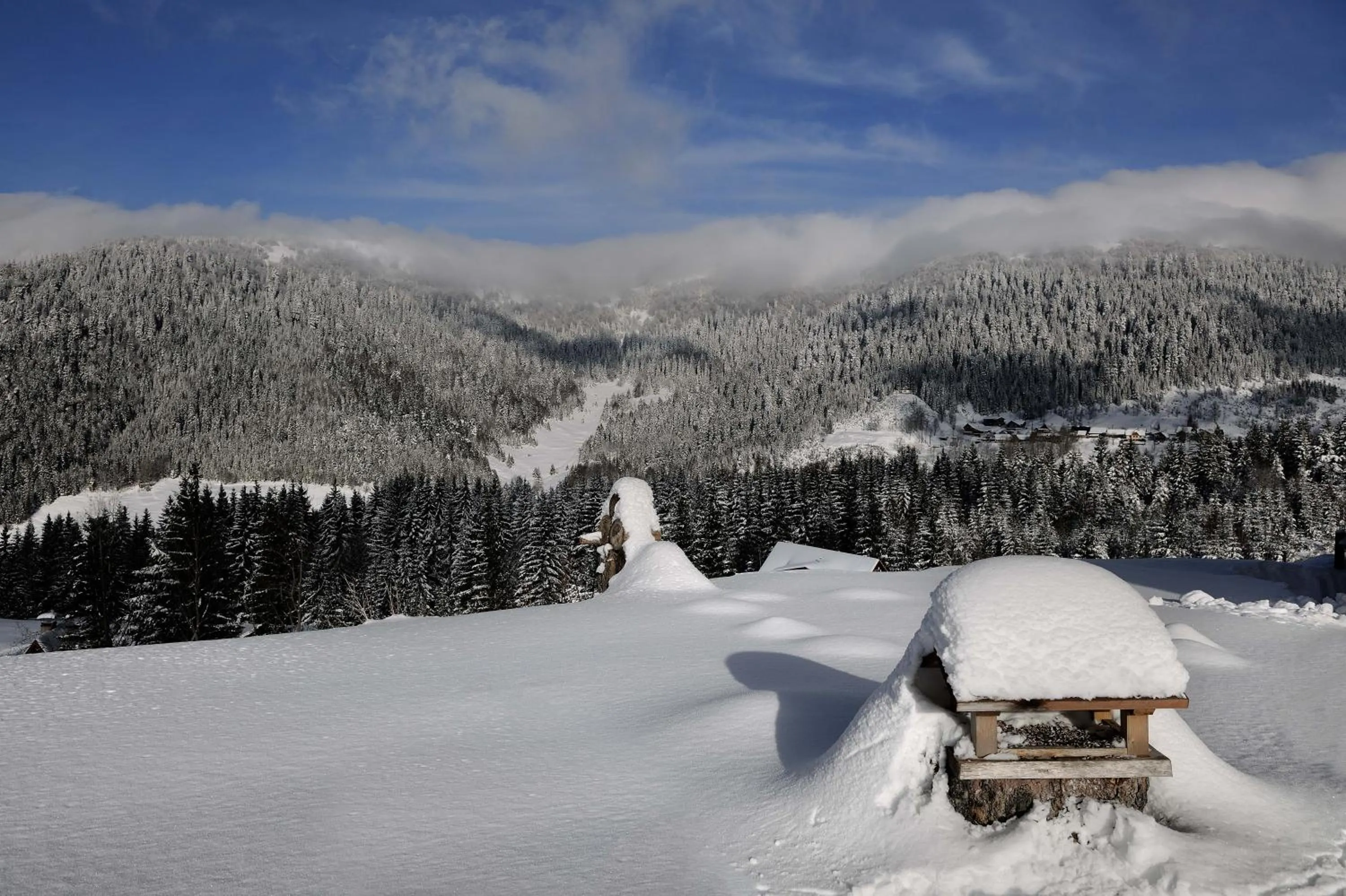 Area and facilities in Villa Gloria Rooms & Apartments