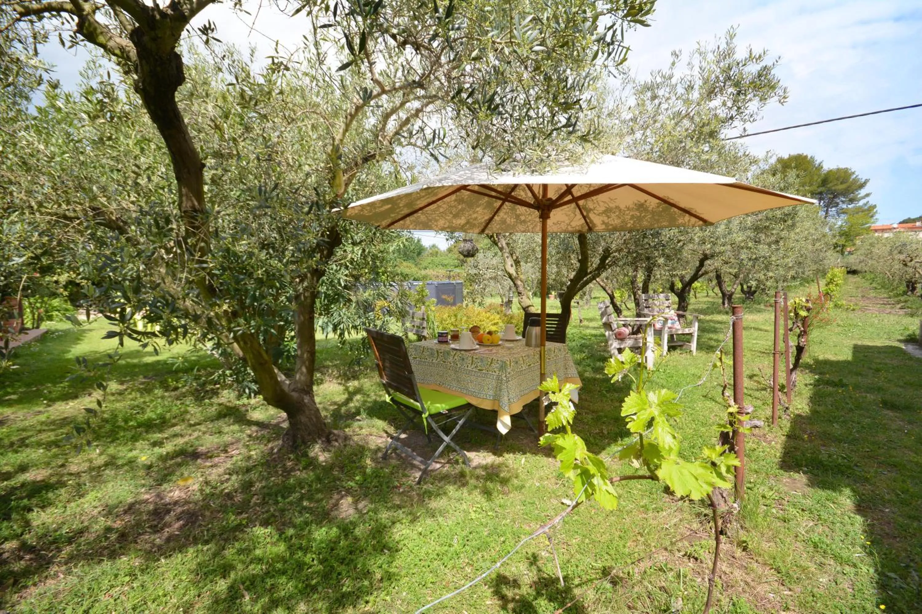 Property building in le cabanon de l'olivette