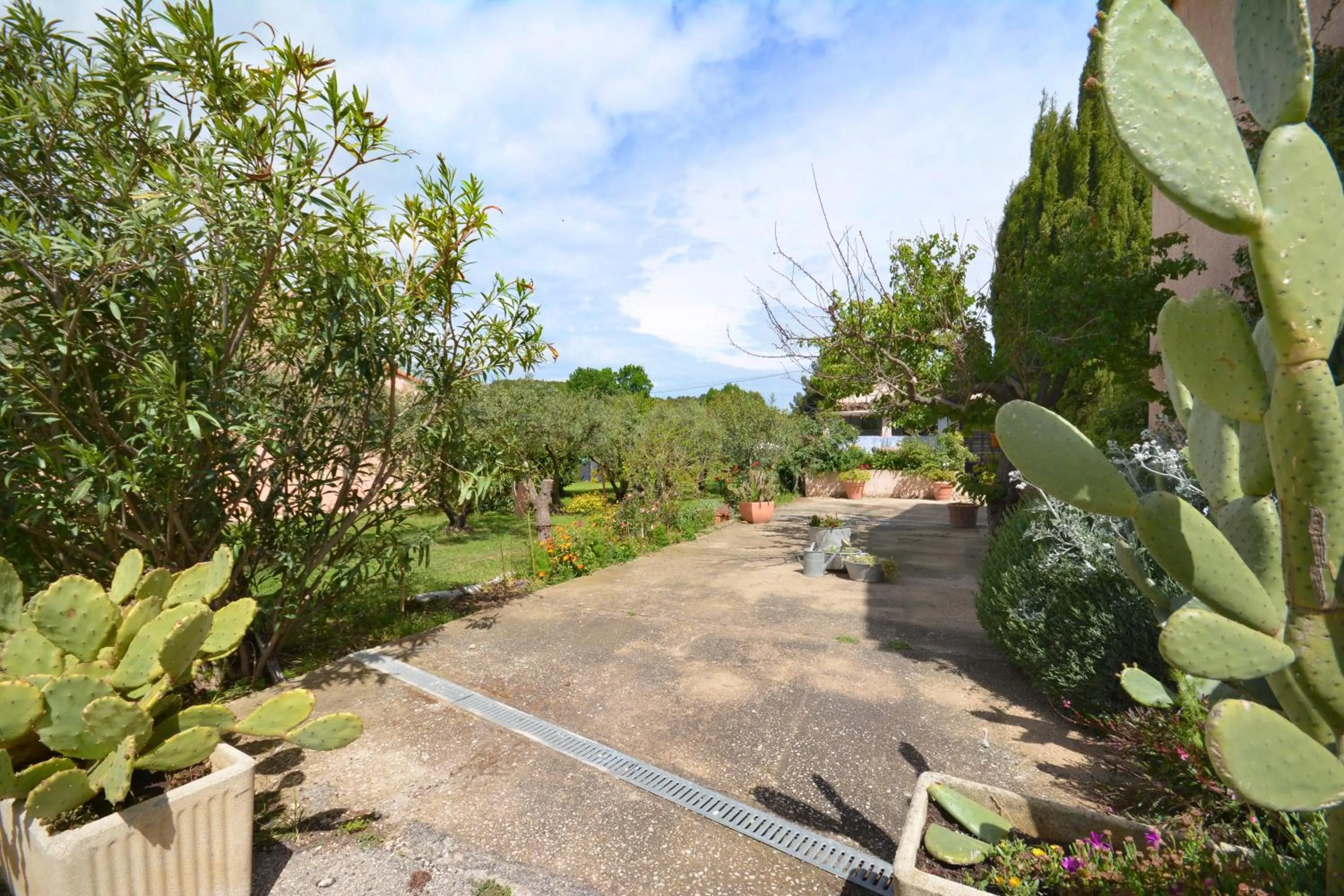 View (from property/room) in le cabanon de l'olivette