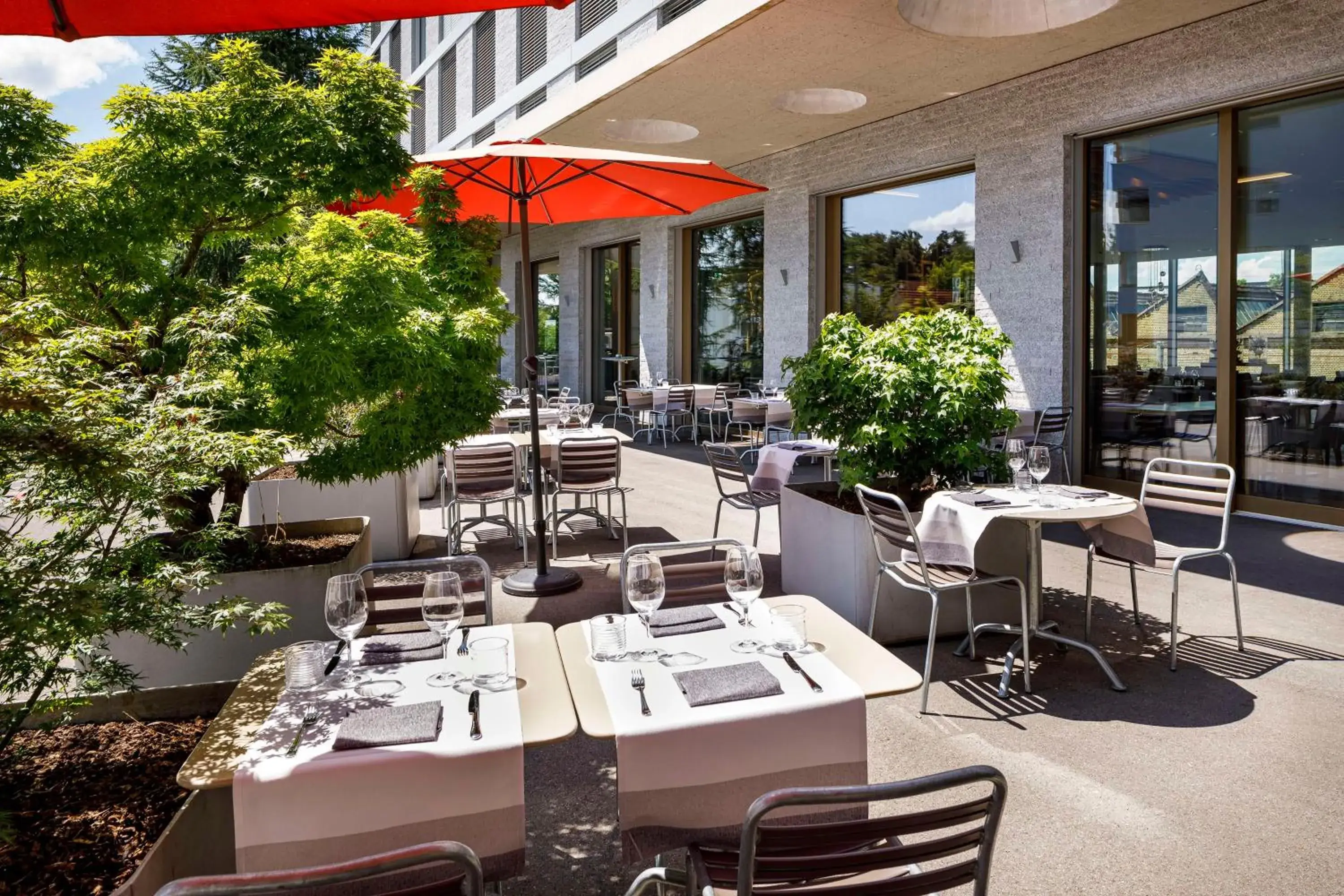 Restaurant/places to eat in Hotel Allegra Lodge Restaurant/places to eat in Hotel Allegra Lodge