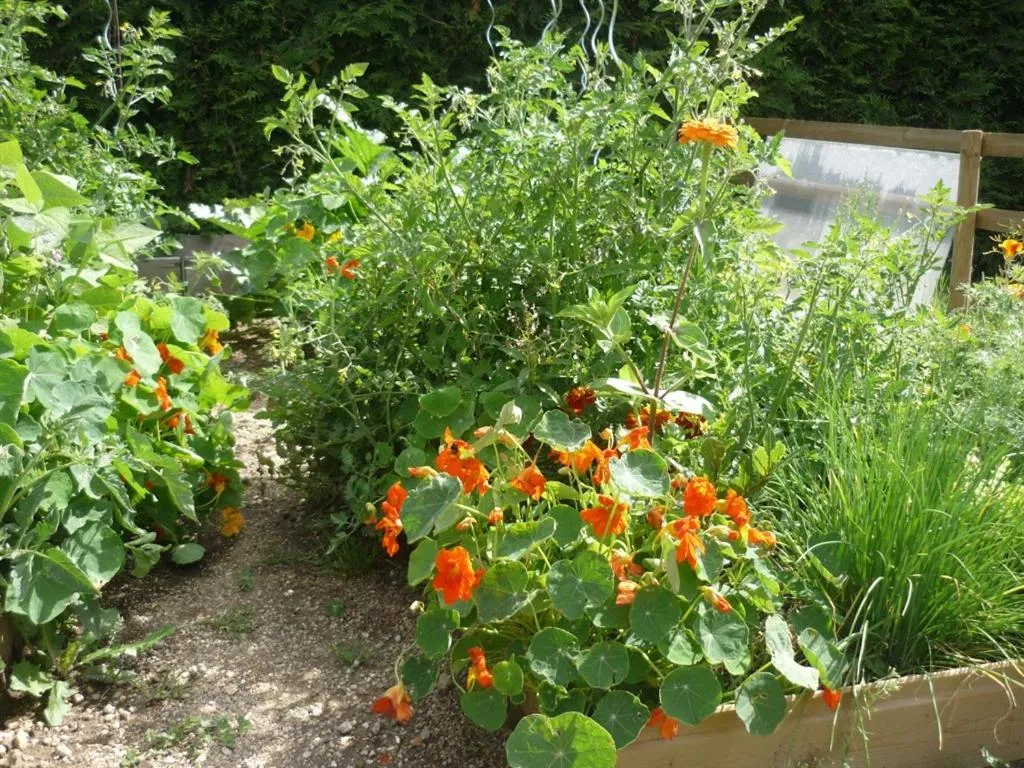 Property building in Chambre et Table d'hôtes Magaadjukalo