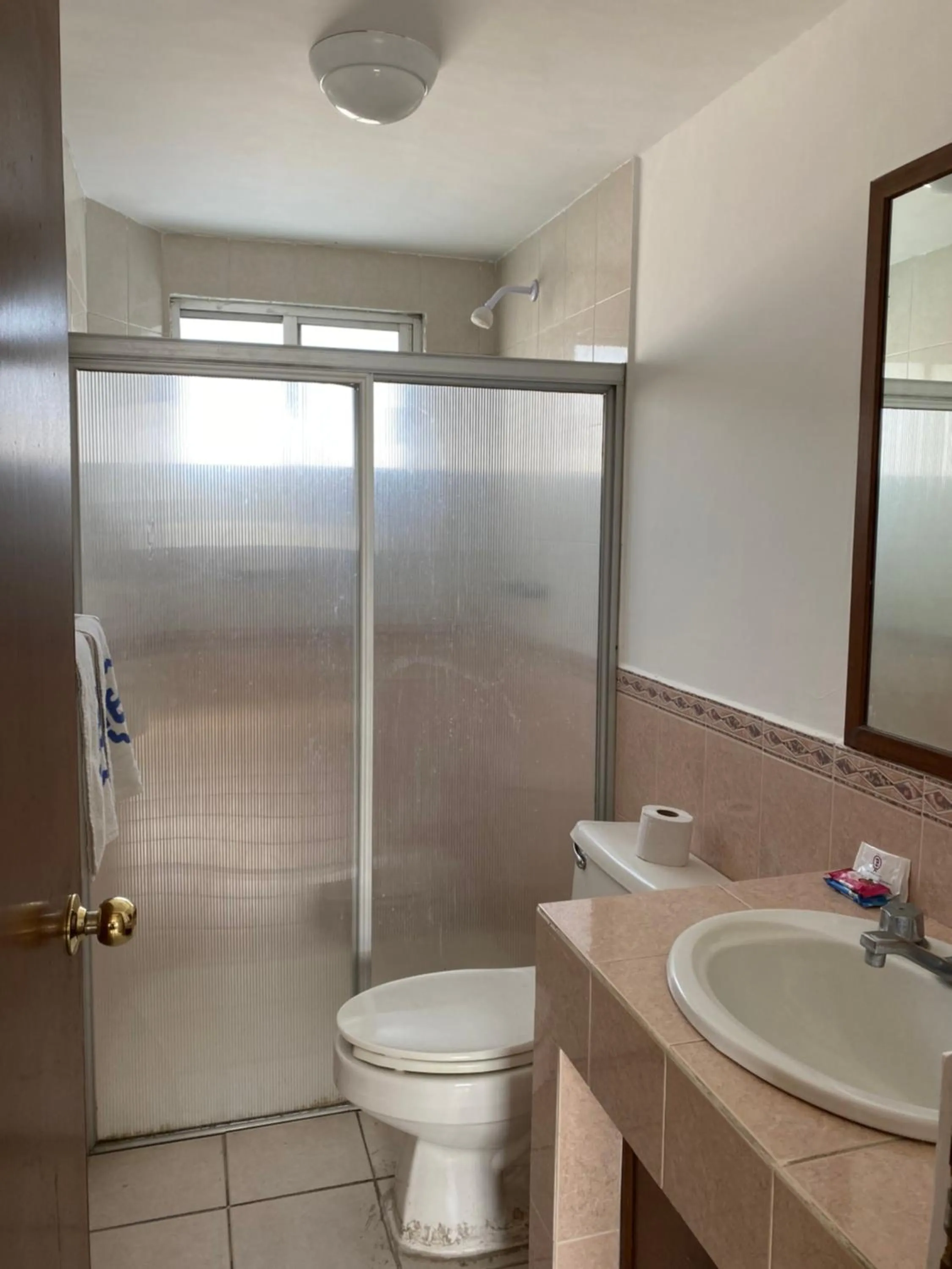 Shower in Hotel Suites Regina