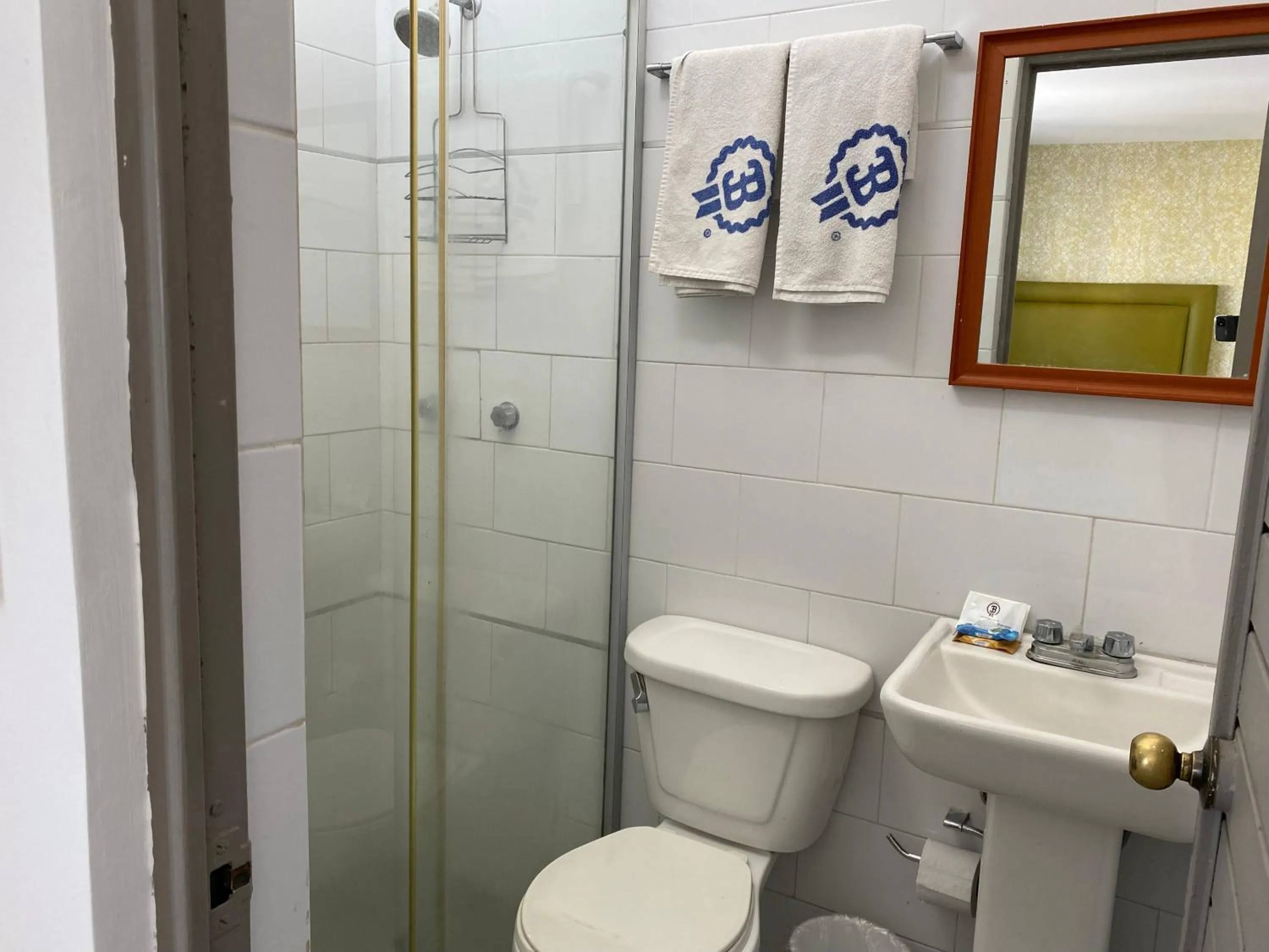 Shower in Hotel Suites Regina