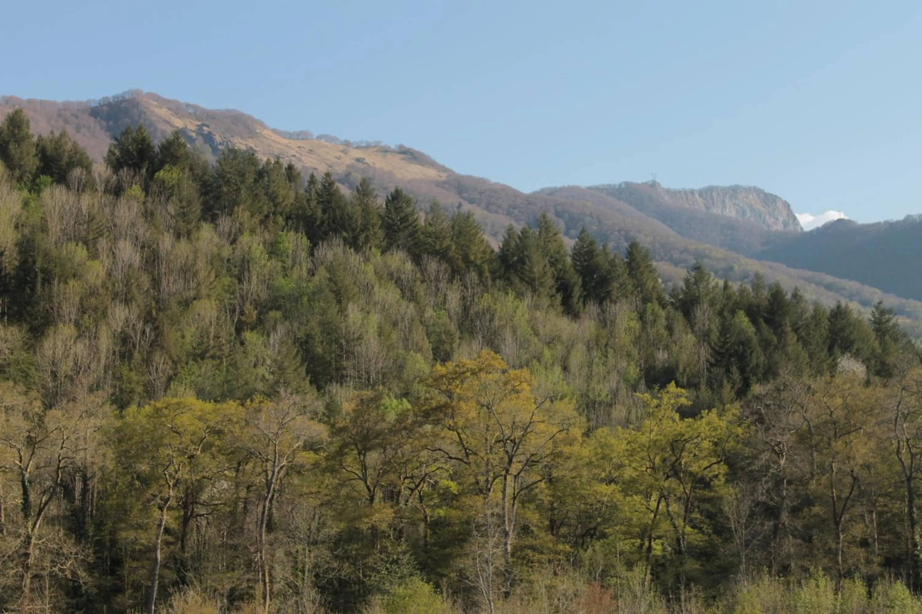 Area and facilities in Hôtel Ladagnous