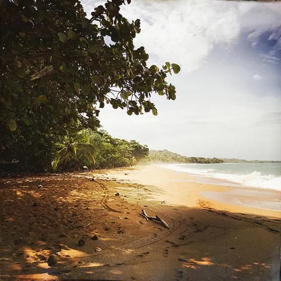 Natural landscape in Hotel Bocas del Toro
