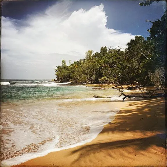 Beach in Hotel Bocas del Toro