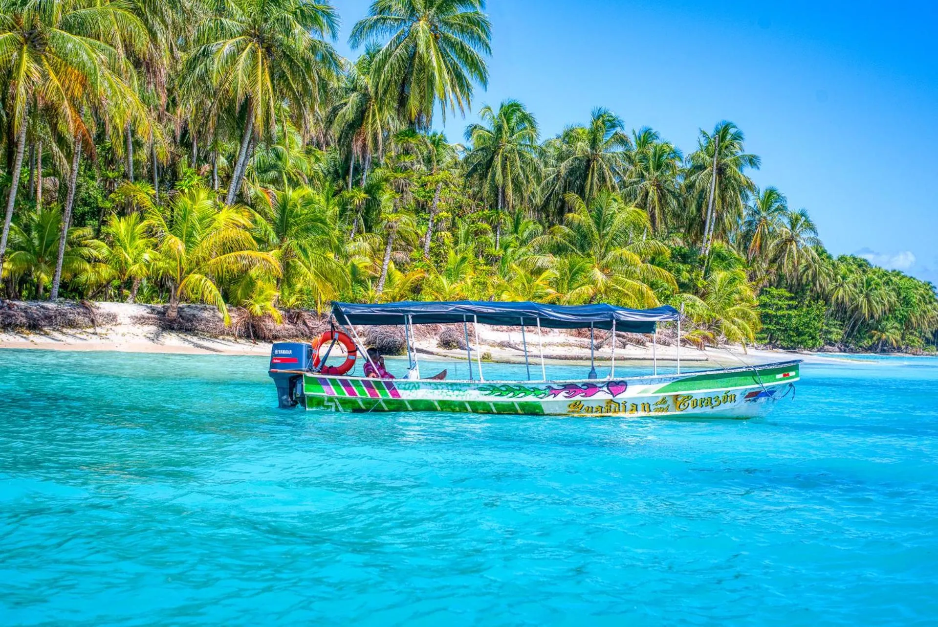 Natural landscape in Hotel Bocas del Toro