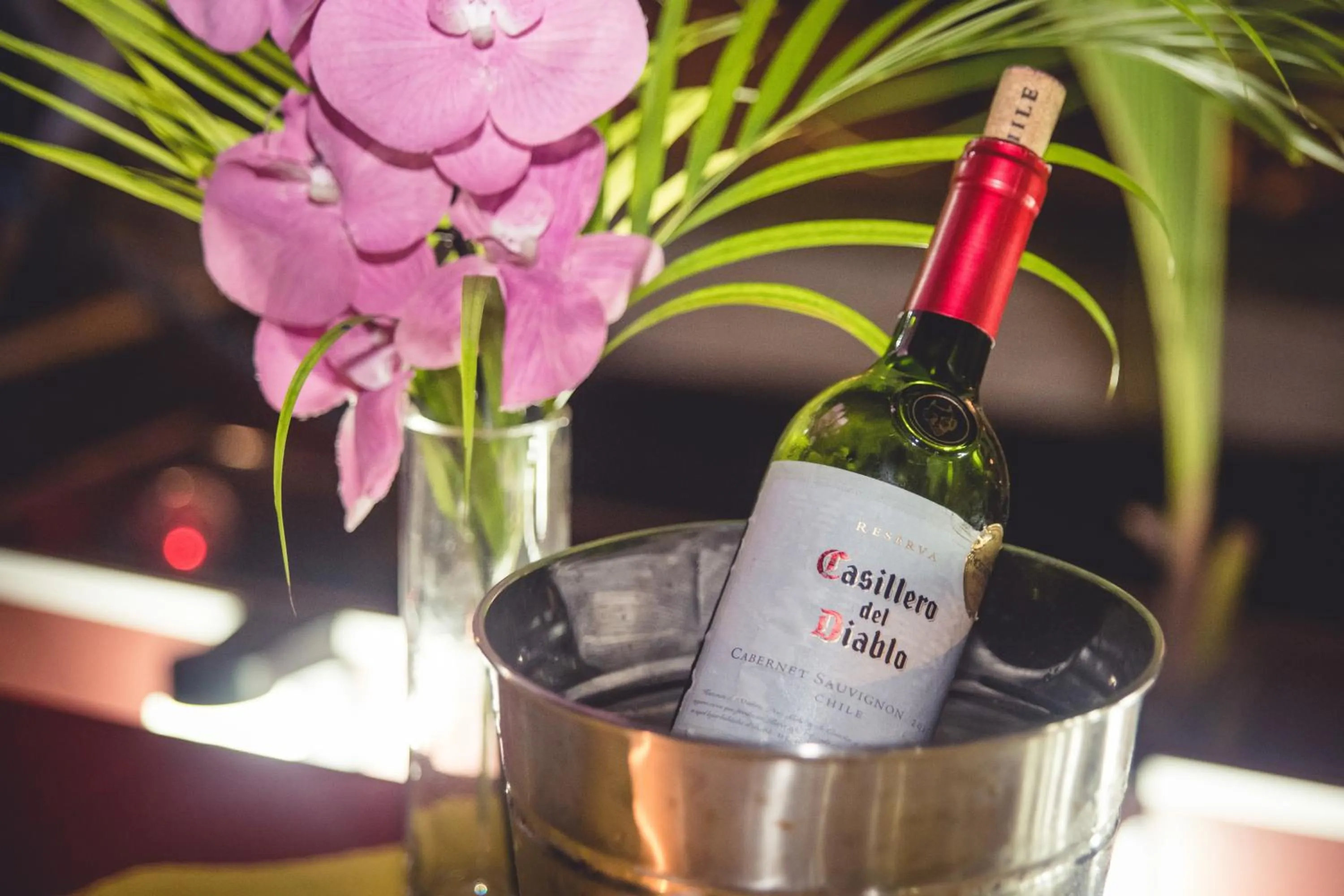 Drinks in Hotel Bocas del Toro