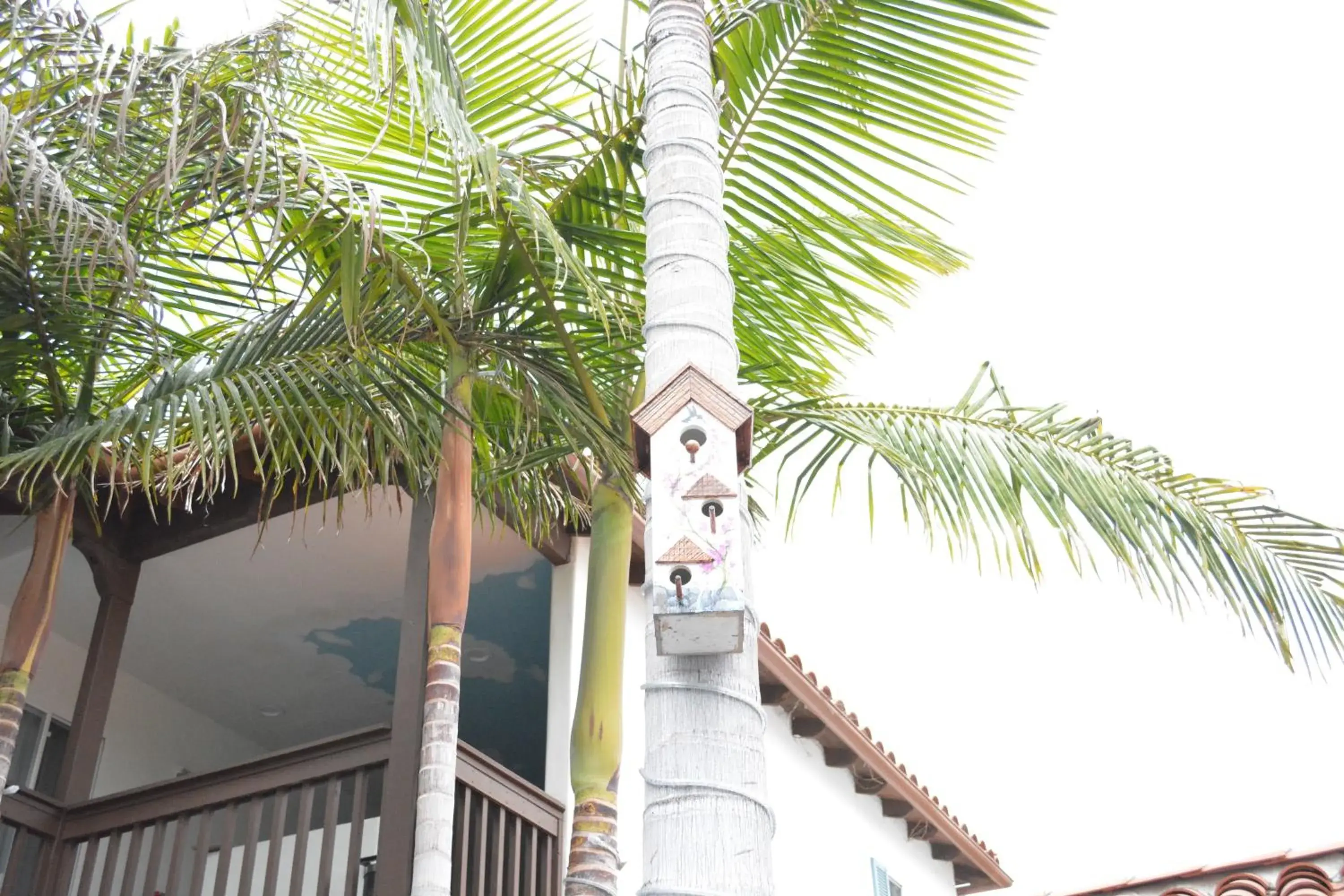 Day in Sunset Motel Day in Sunset Motel