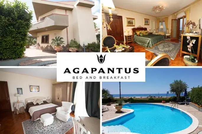 Agapantus Bed & Breakfast Agapantus Bed & Breakfast