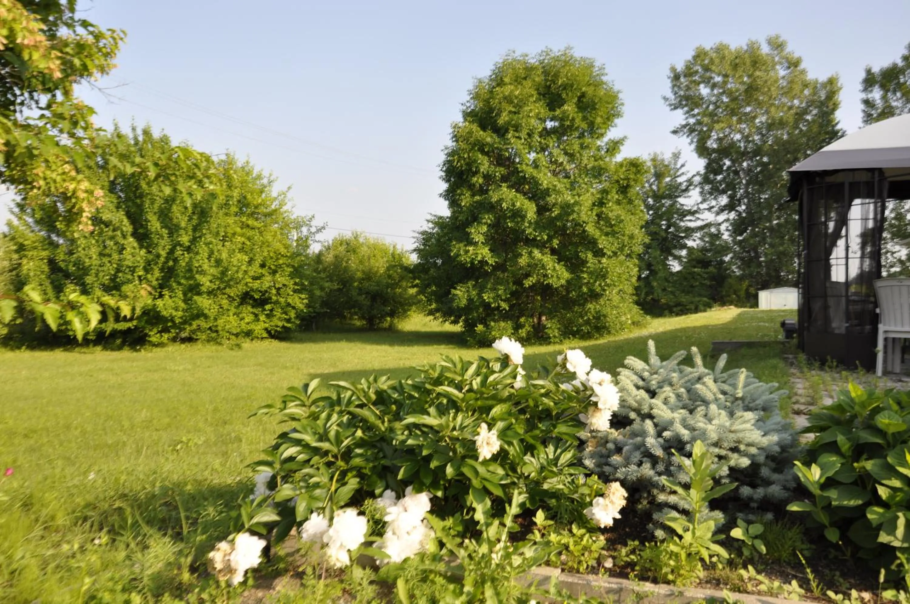 Garden in Motel les Pignons Verts