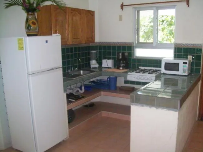 Kitchen or kitchenette in Hotel y Suites Corita