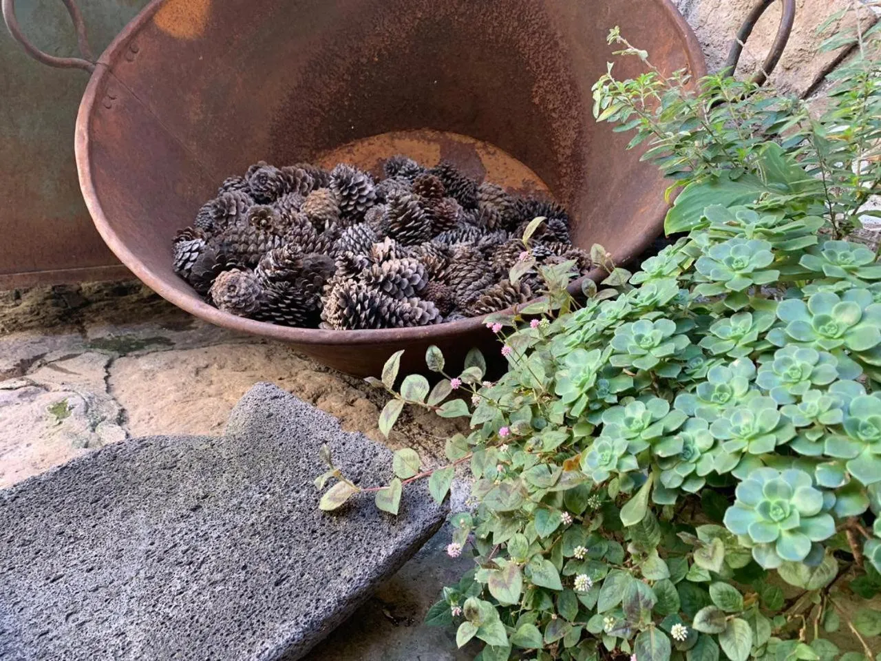 Hotel Casa del Anticuario