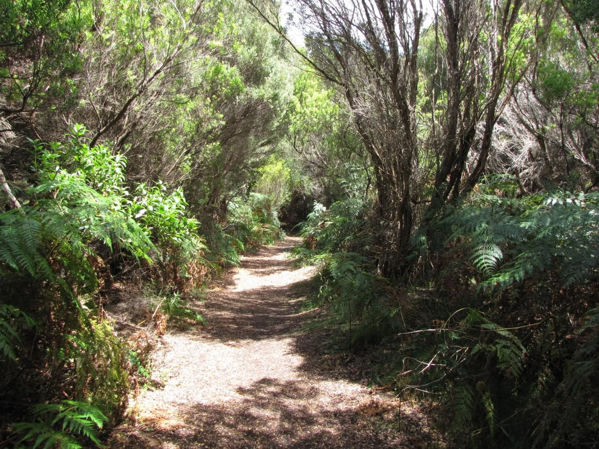 King Island Accommodation Cottages