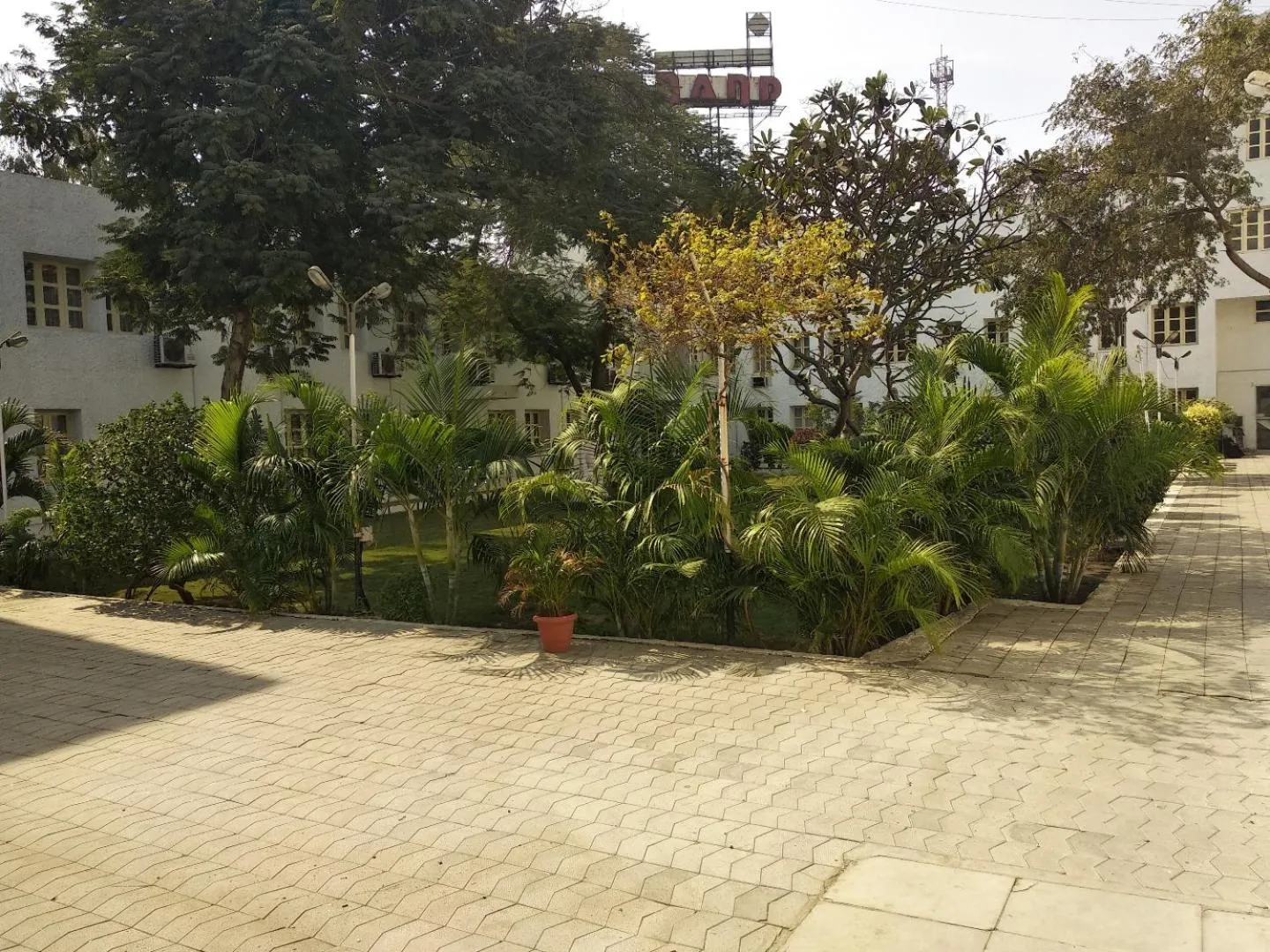 Garden in Chryso Hotels Pvt Ltd