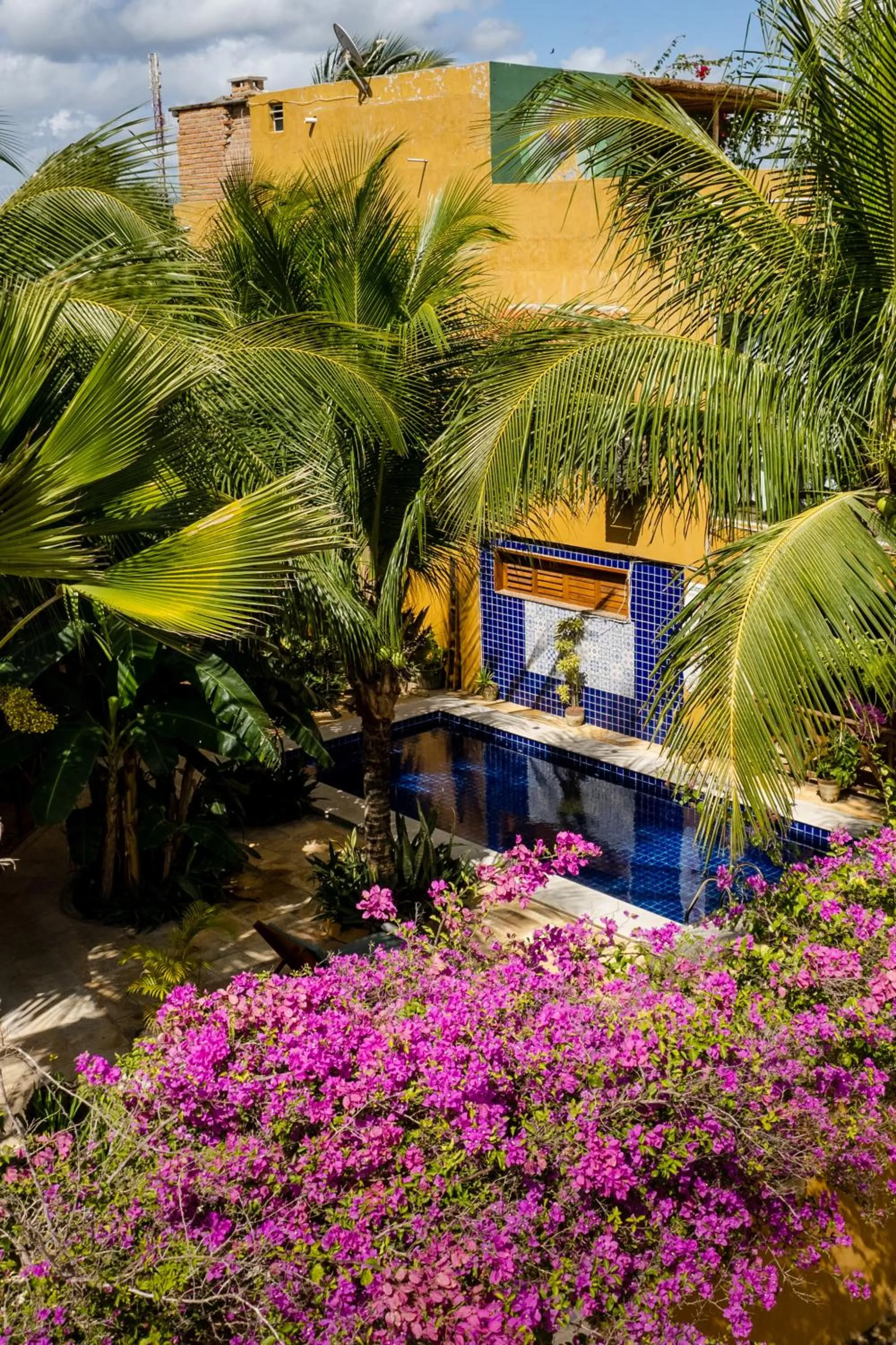 Garden in Pousada Dharma