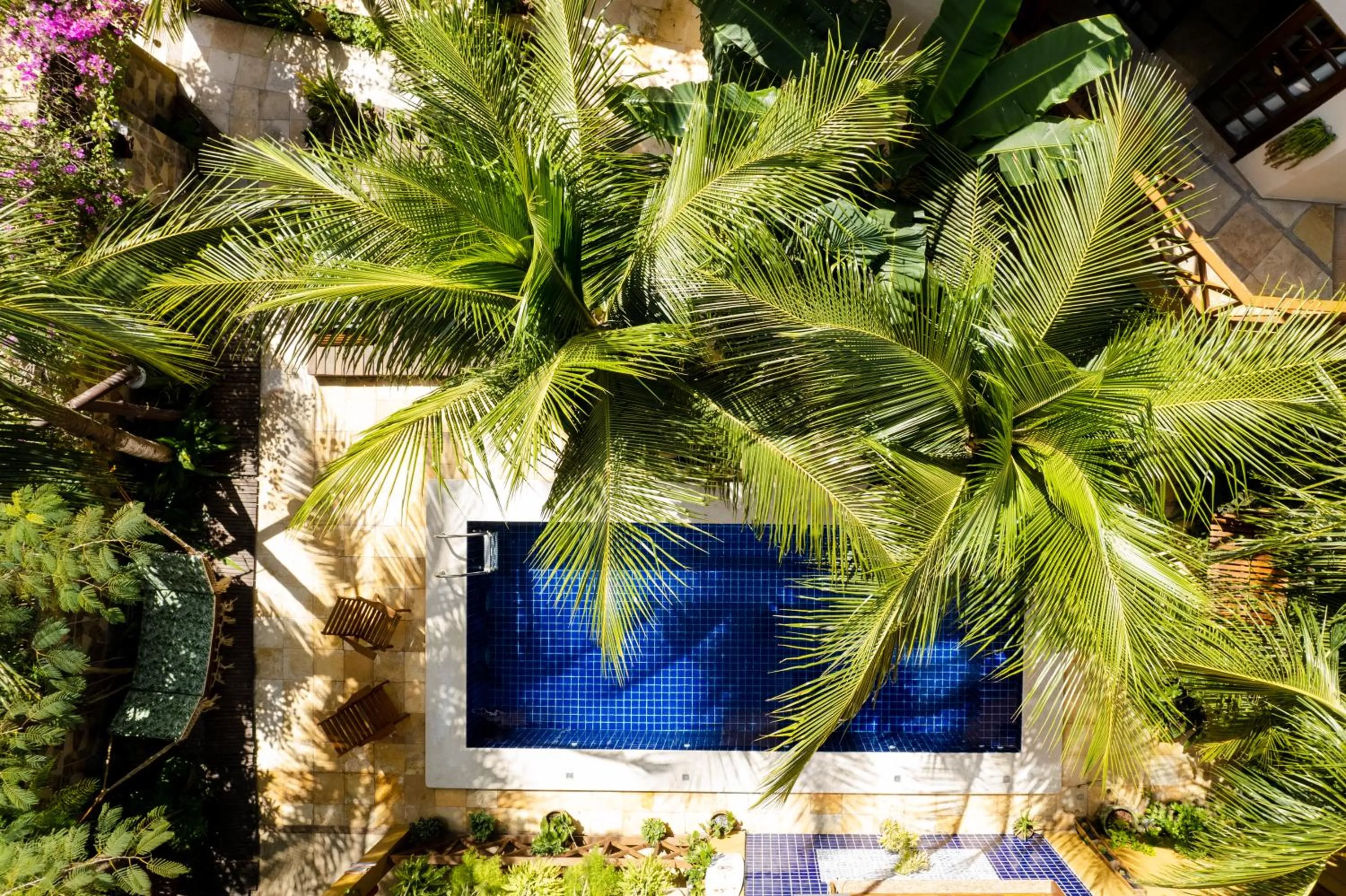 Garden in Pousada Dharma
