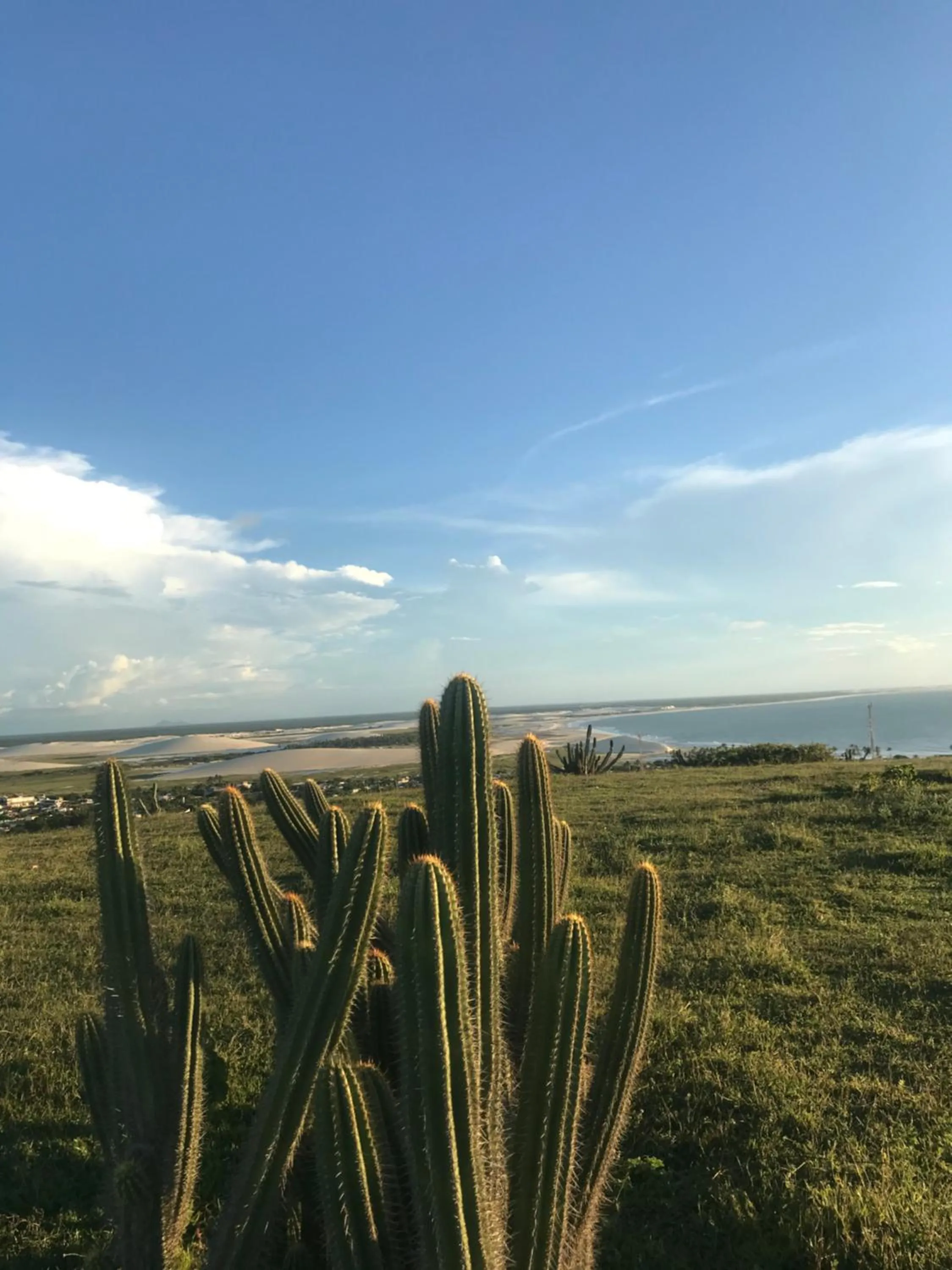 Natural landscape in Pousada Dharma