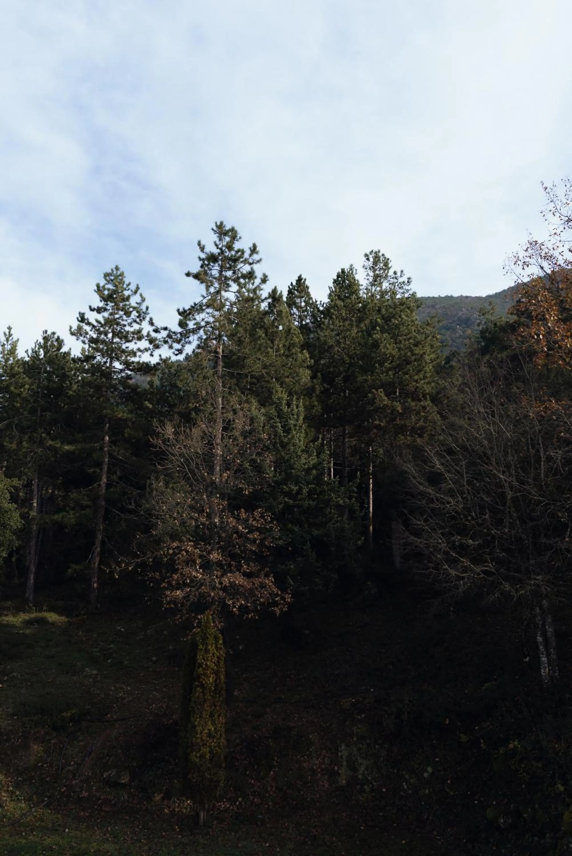 View (from property/room) in Agnanti Hotel