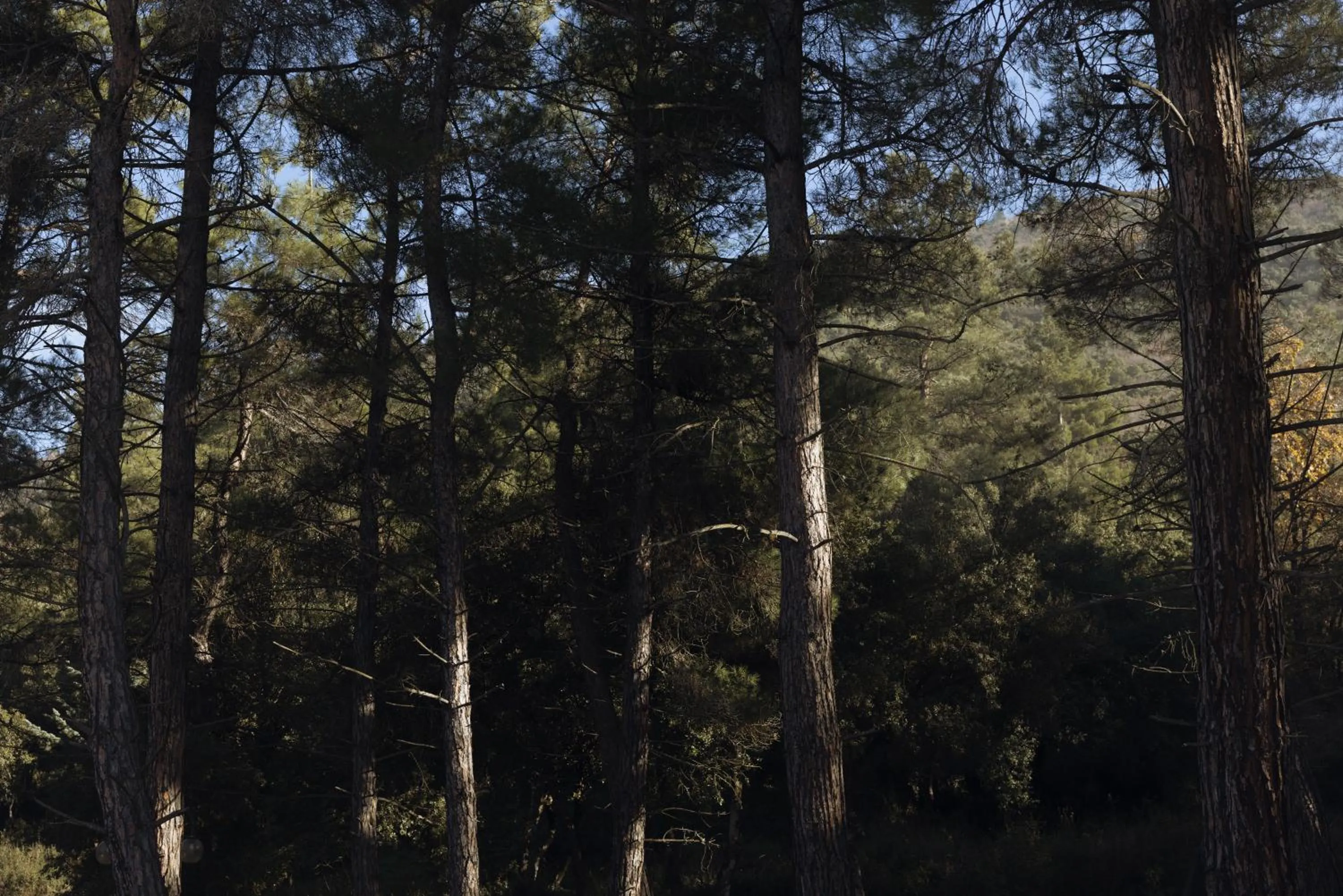 View (from property/room) in Agnanti Hotel