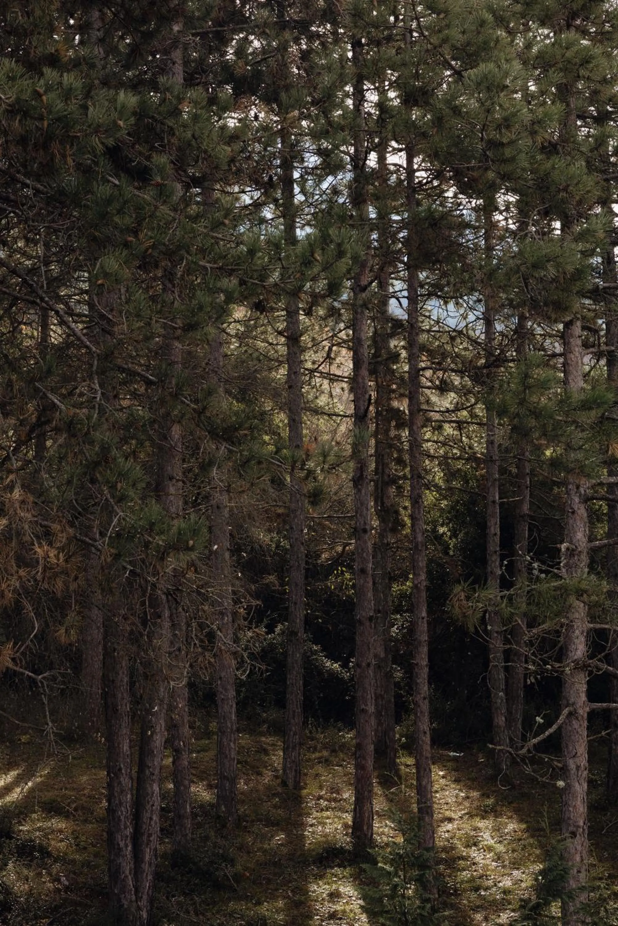 Other in Agnanti Hotel