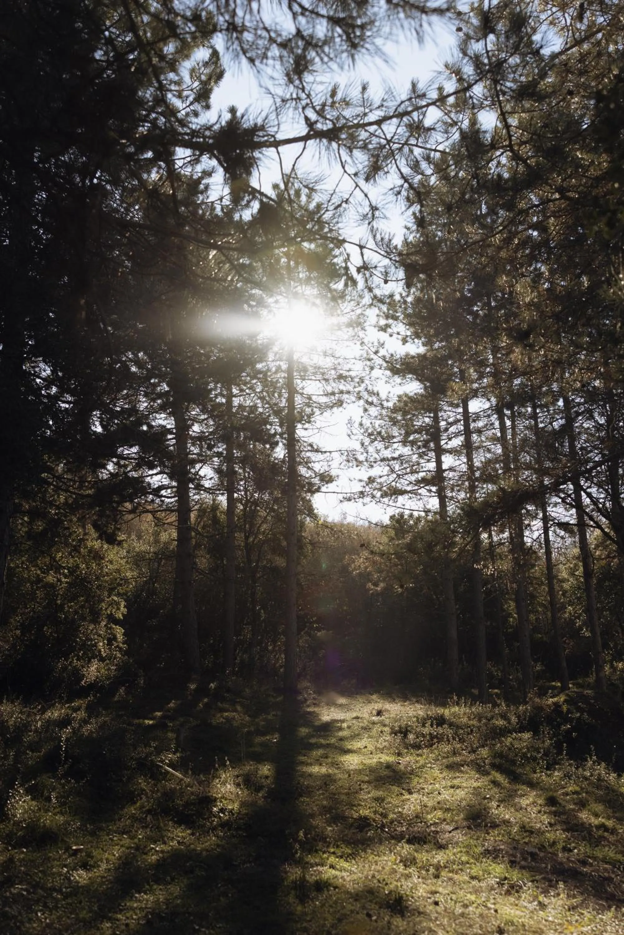 Other in Agnanti Hotel