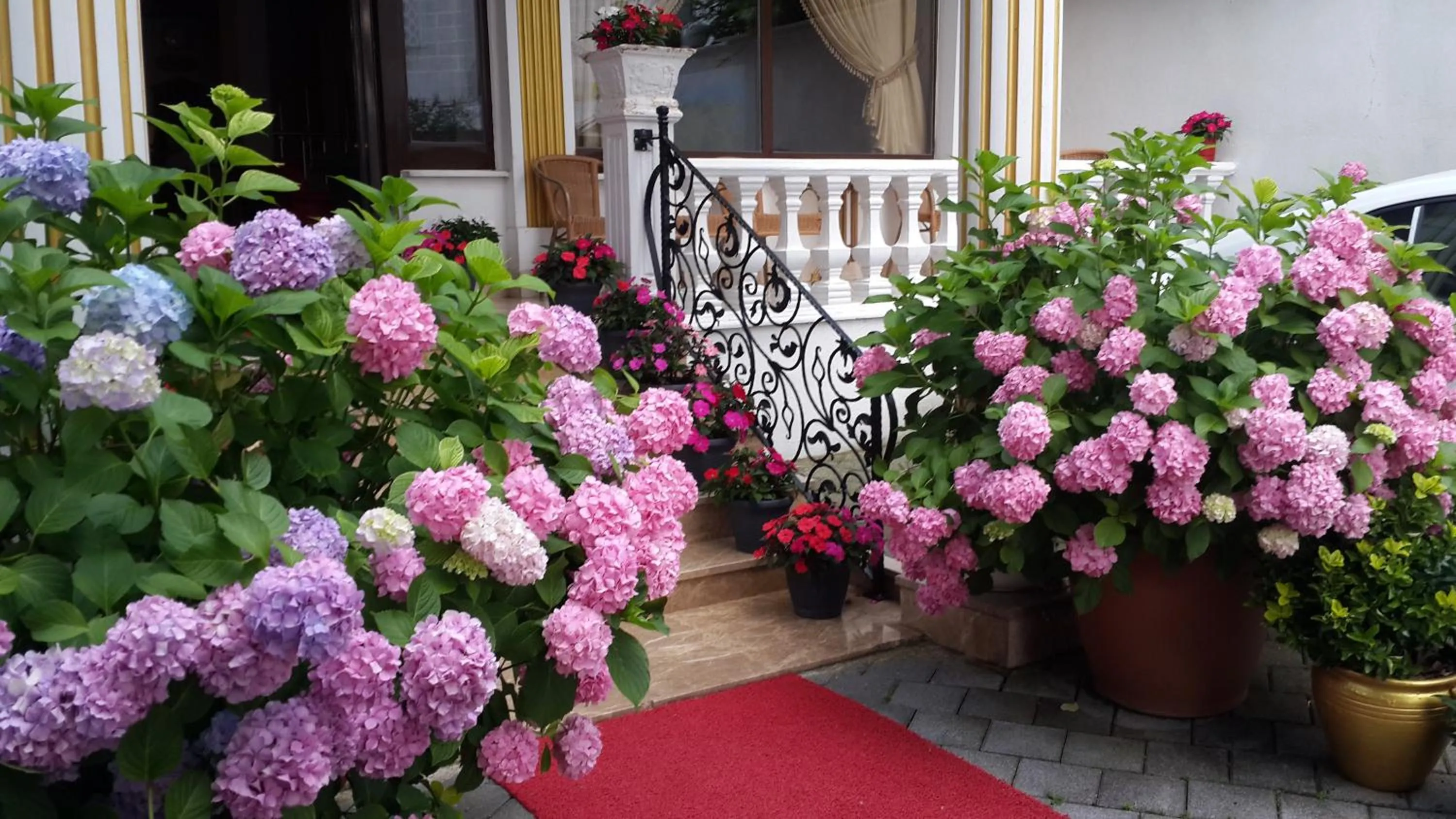 Facade/entrance in Termal Elit Hotel