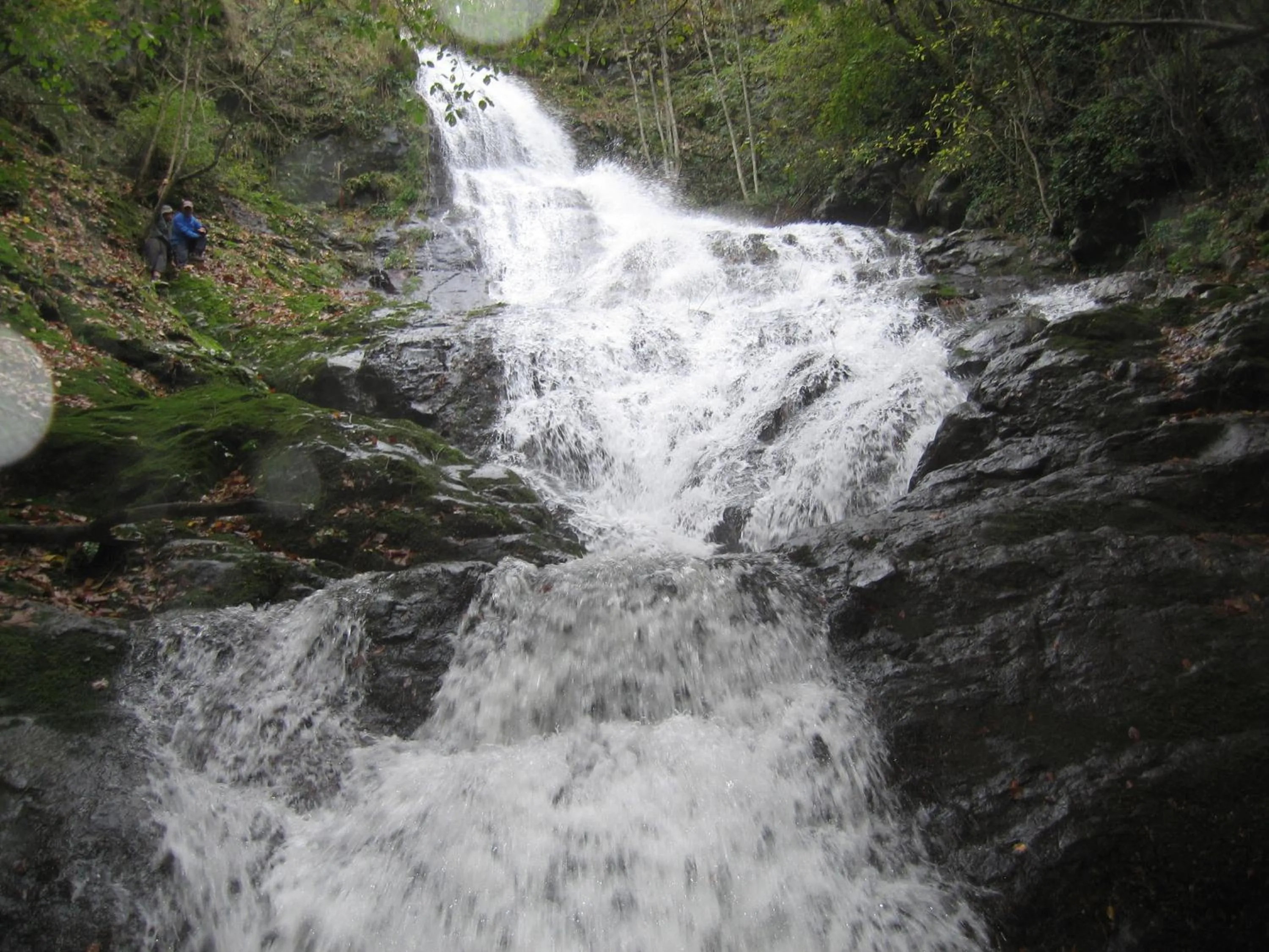 Other in Termal Elit Hotel