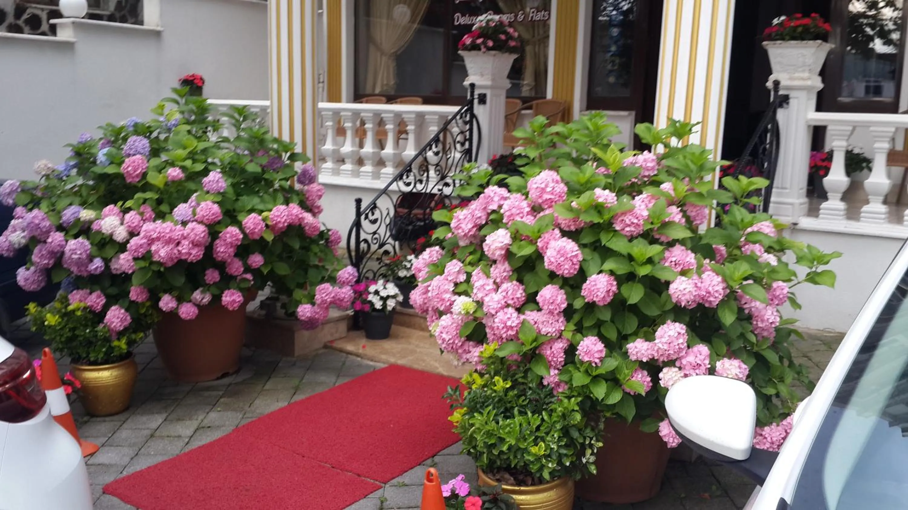 Facade/entrance in Termal Elit Hotel