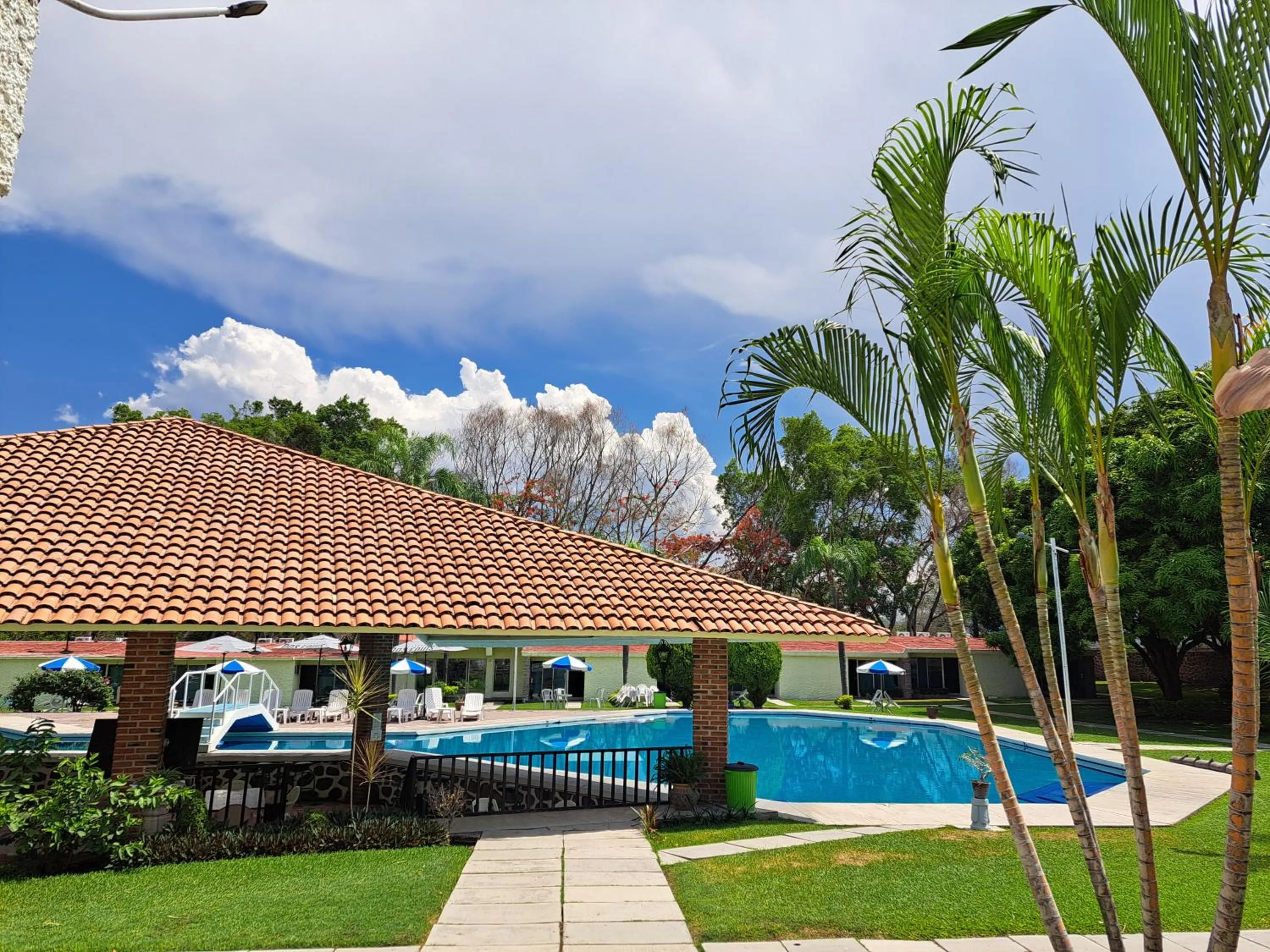 Garden in Hotel Teques Palace