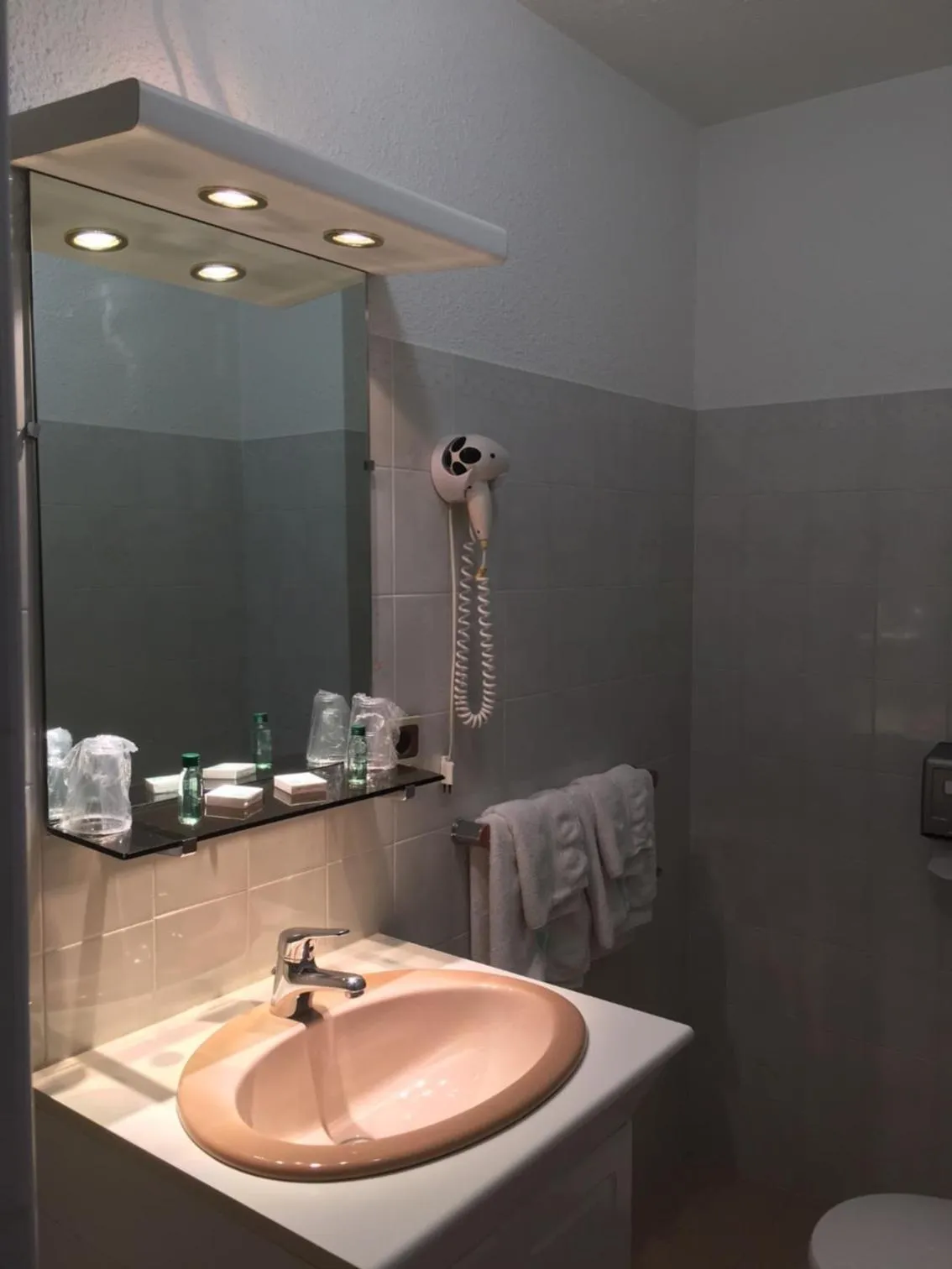 Hôtel Les Soldanelles