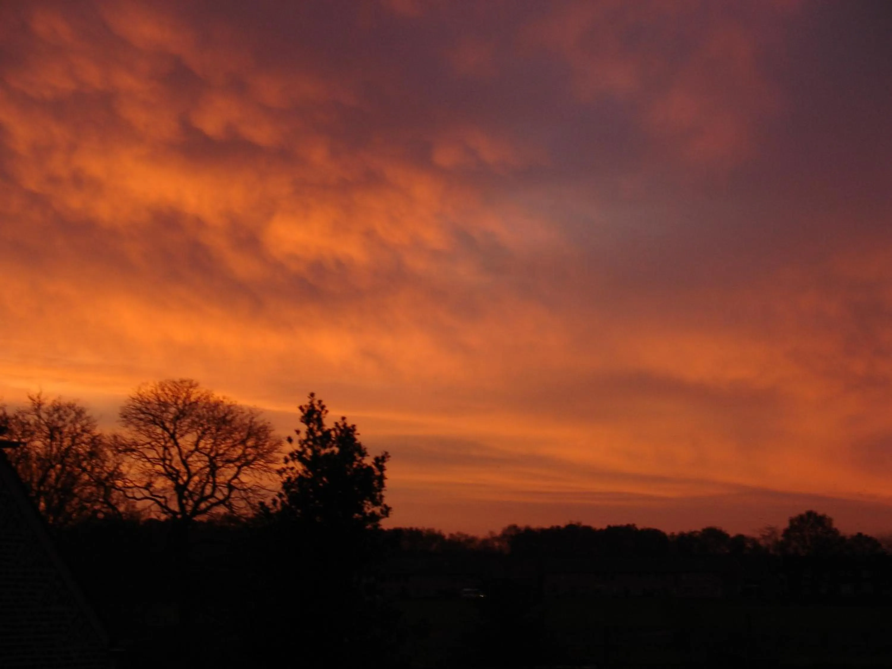 Area and facilities in Hotel de Reiziger