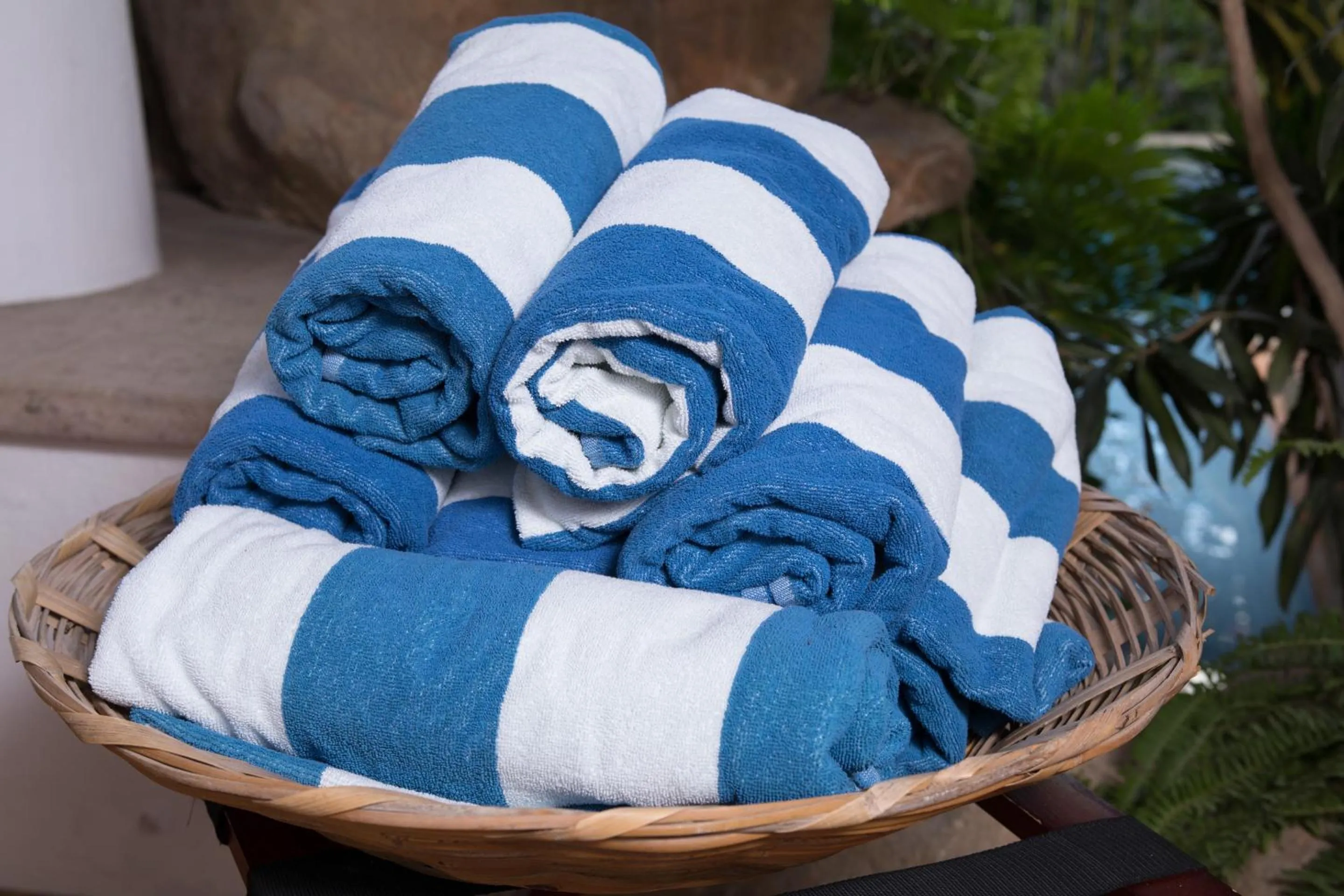 Patio in Mi Otra Casa