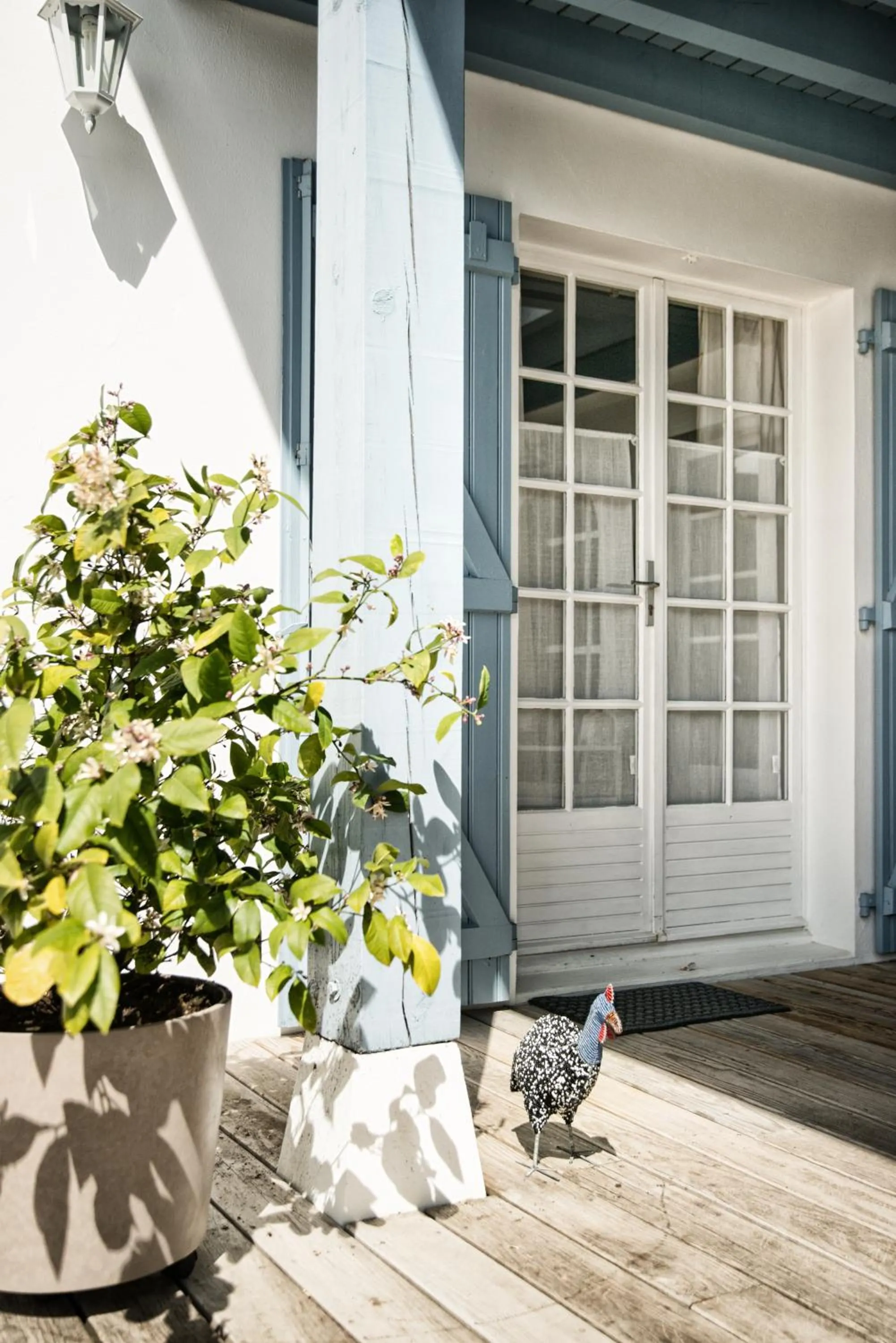 Patio in Chambre d'Hôtes Etchebri