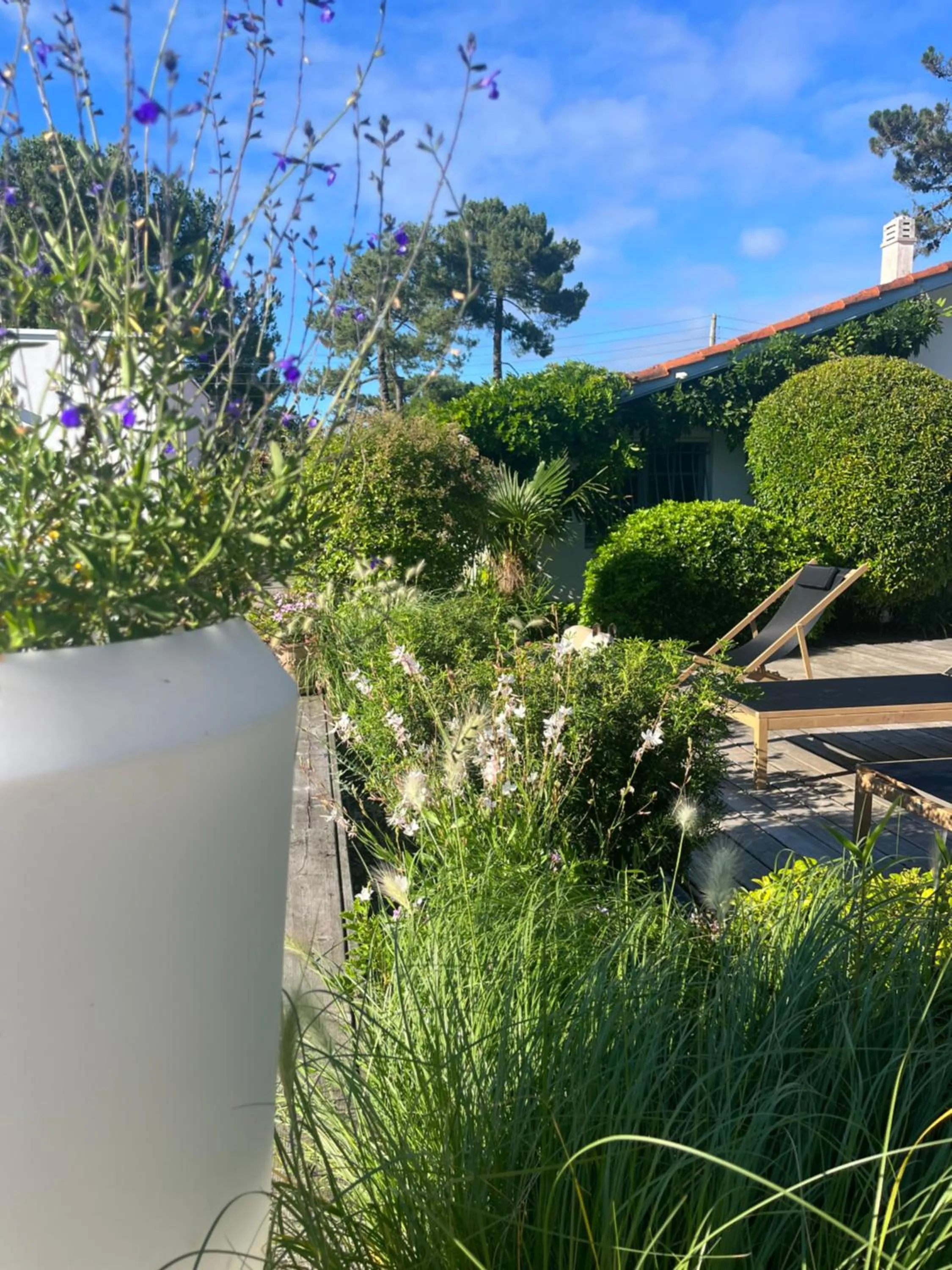 Garden in Chambre d'Hôtes Etchebri
