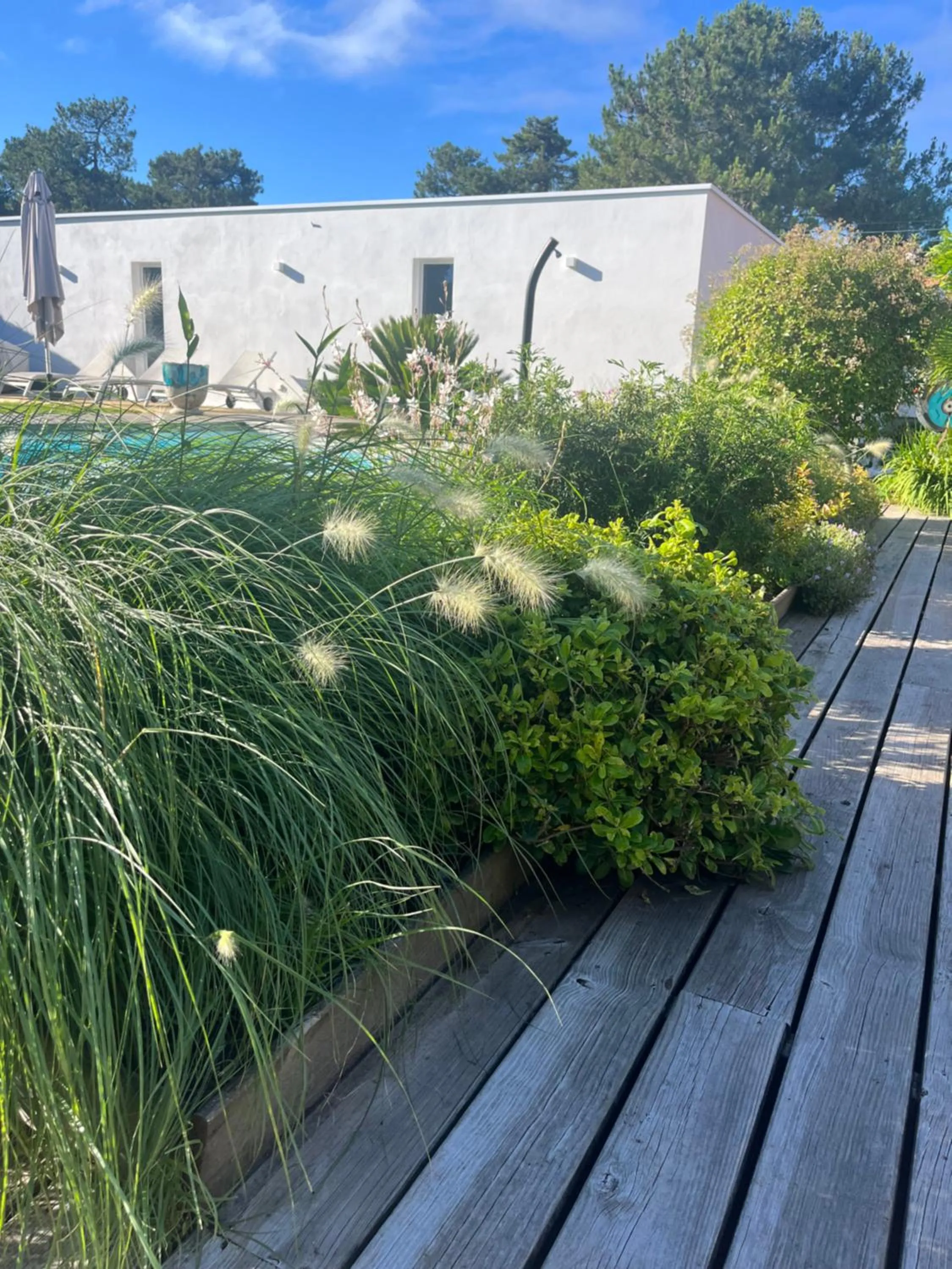 Garden in Chambre d'Hôtes Etchebri