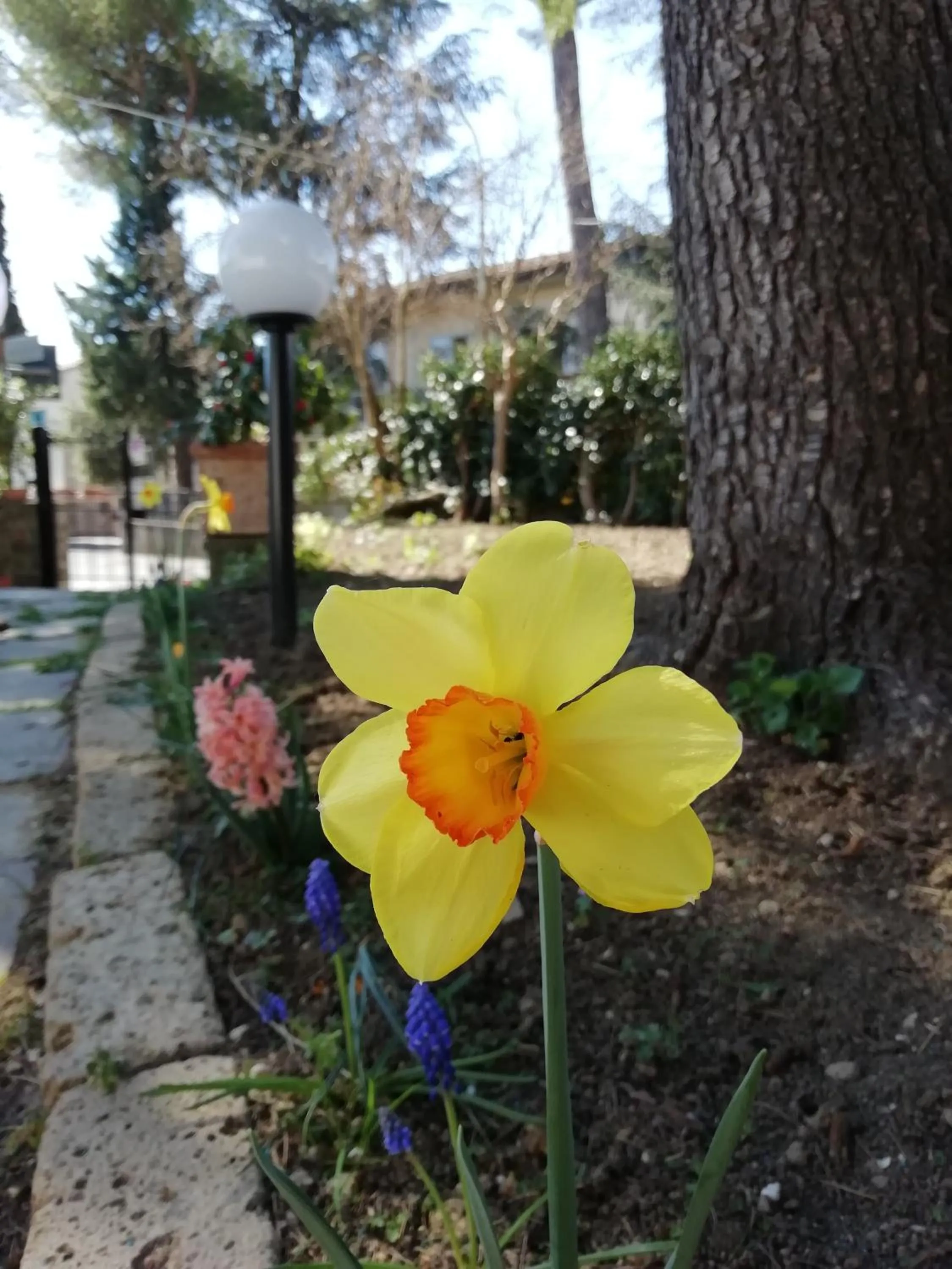 Spring in B&B Querceto