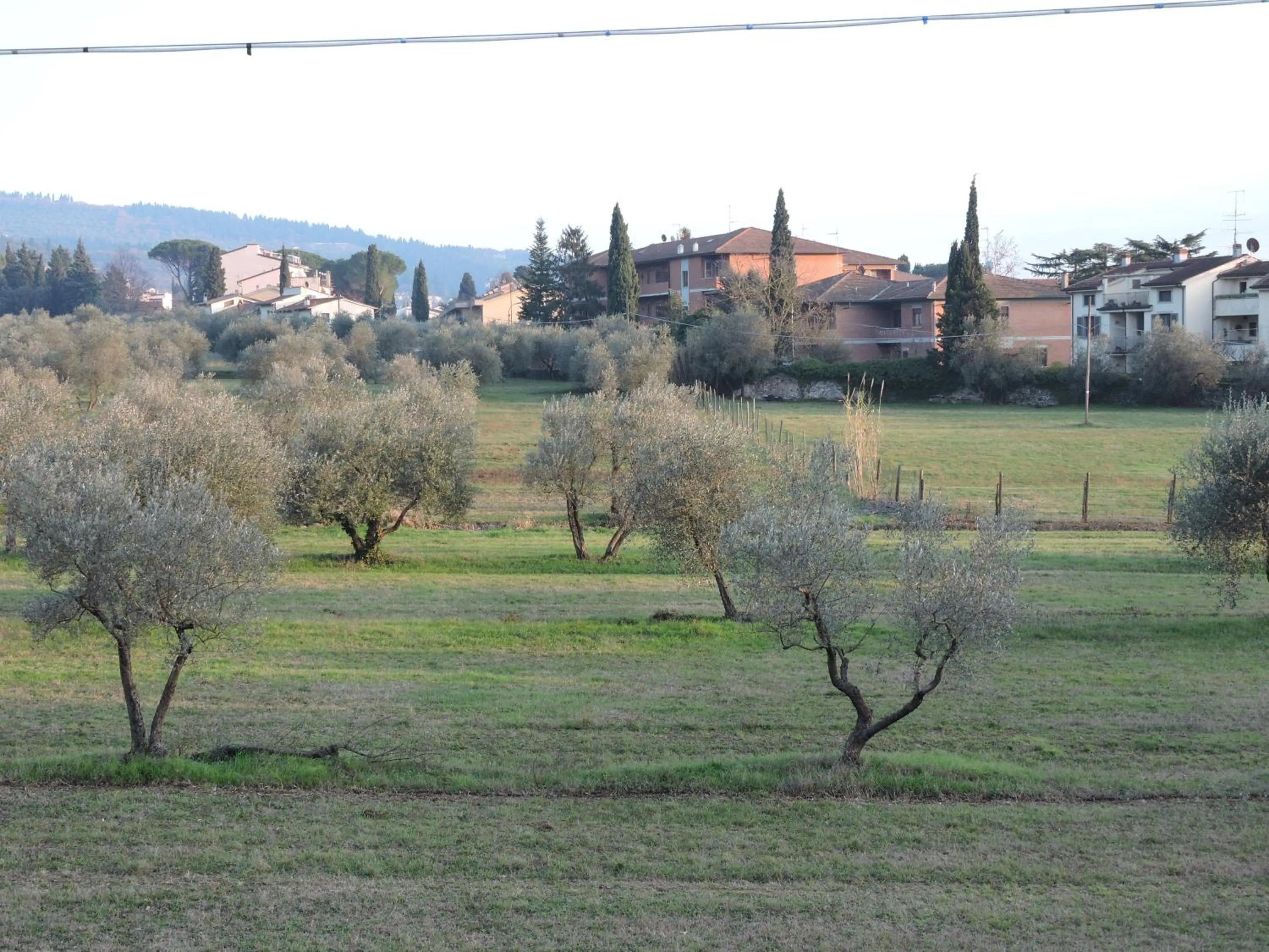 Neighbourhood in B&B Querceto