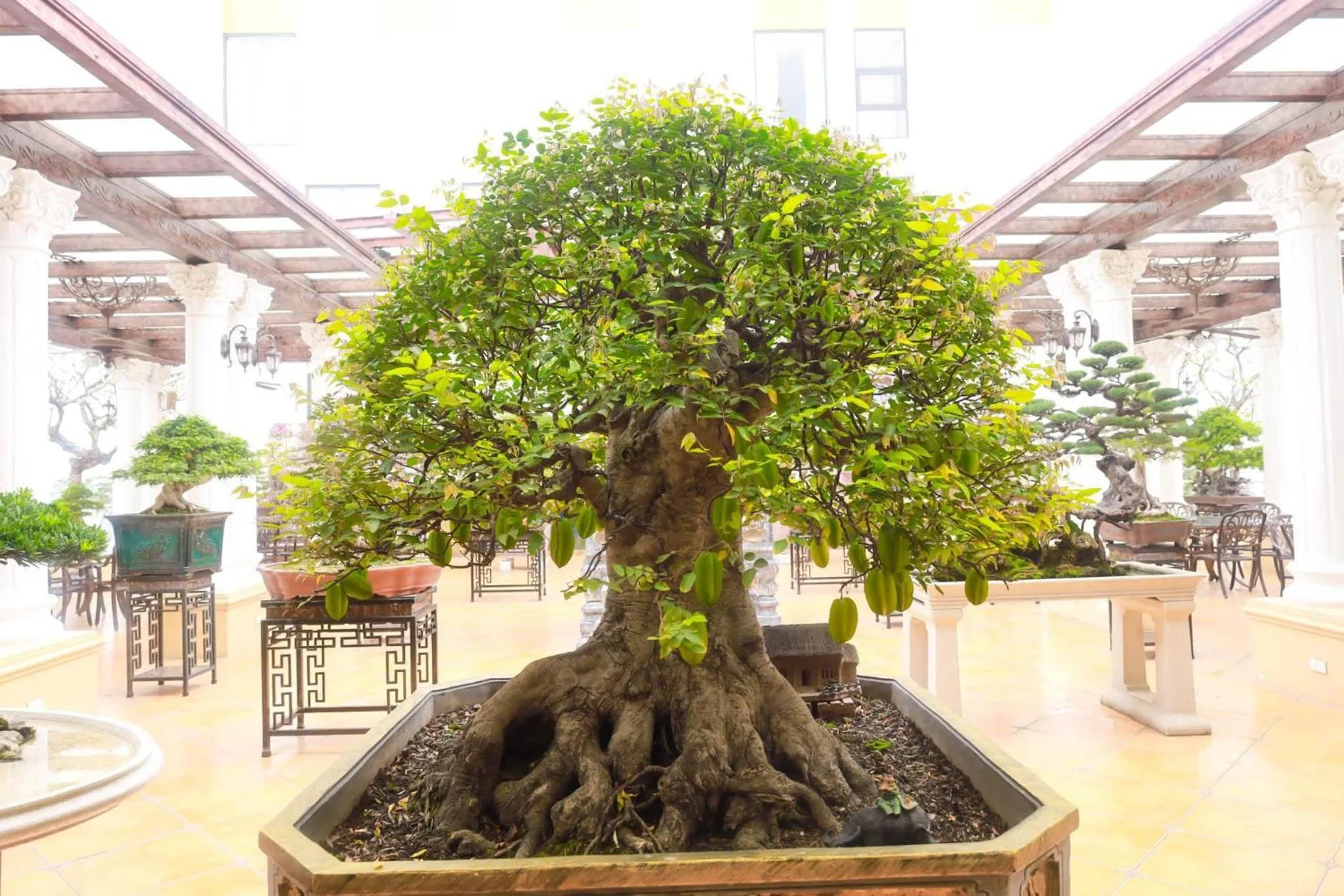 Garden in Khách sạn Phương Anh