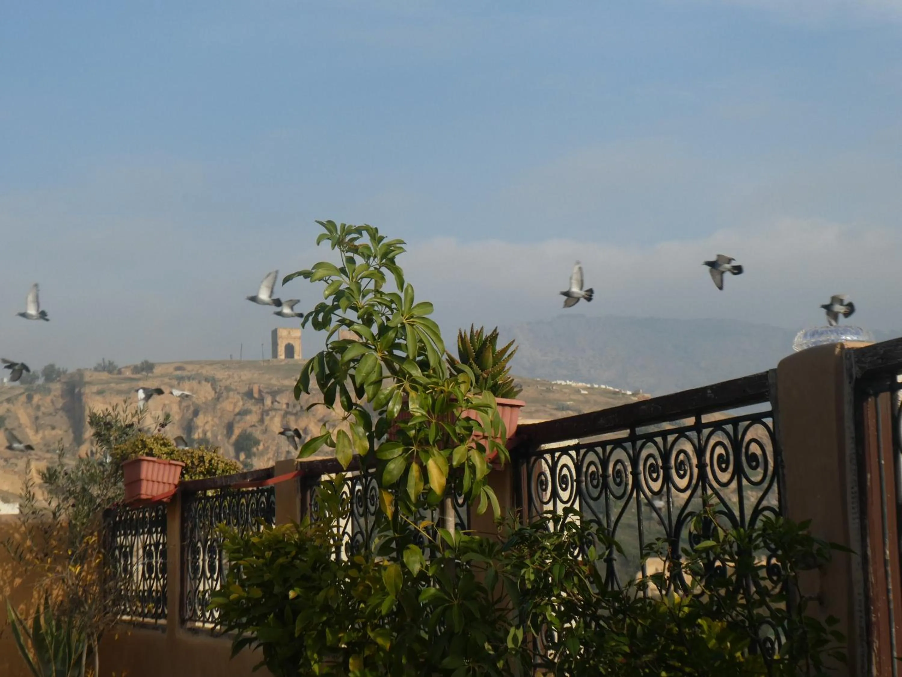 Balcony/Terrace in Dar Naima