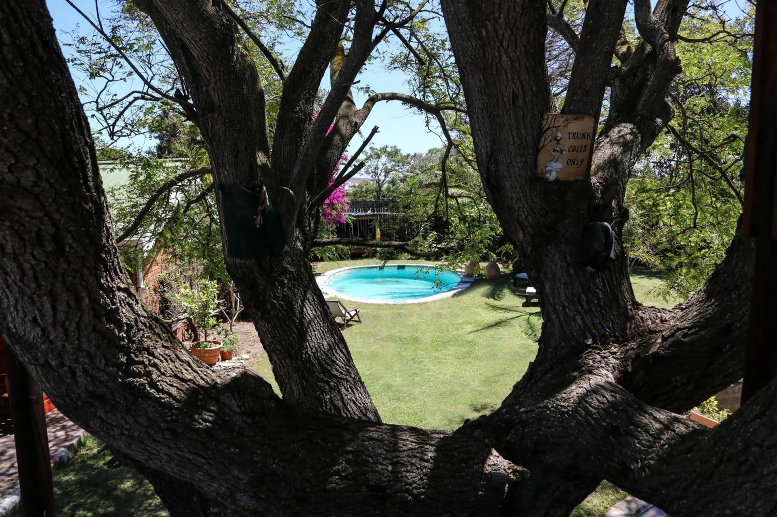 Garden view in Goblin's Creek