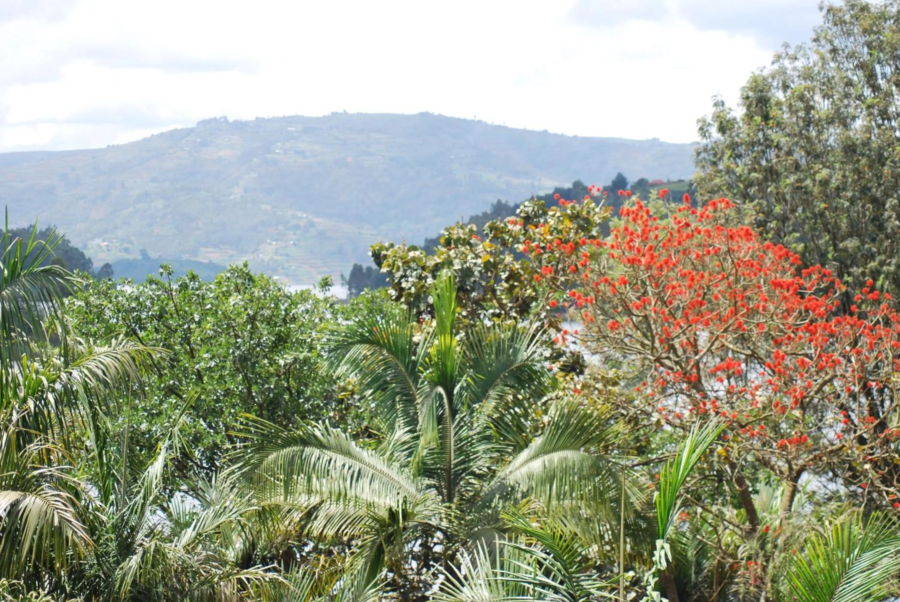 Lake view in Crater Bay Cottages