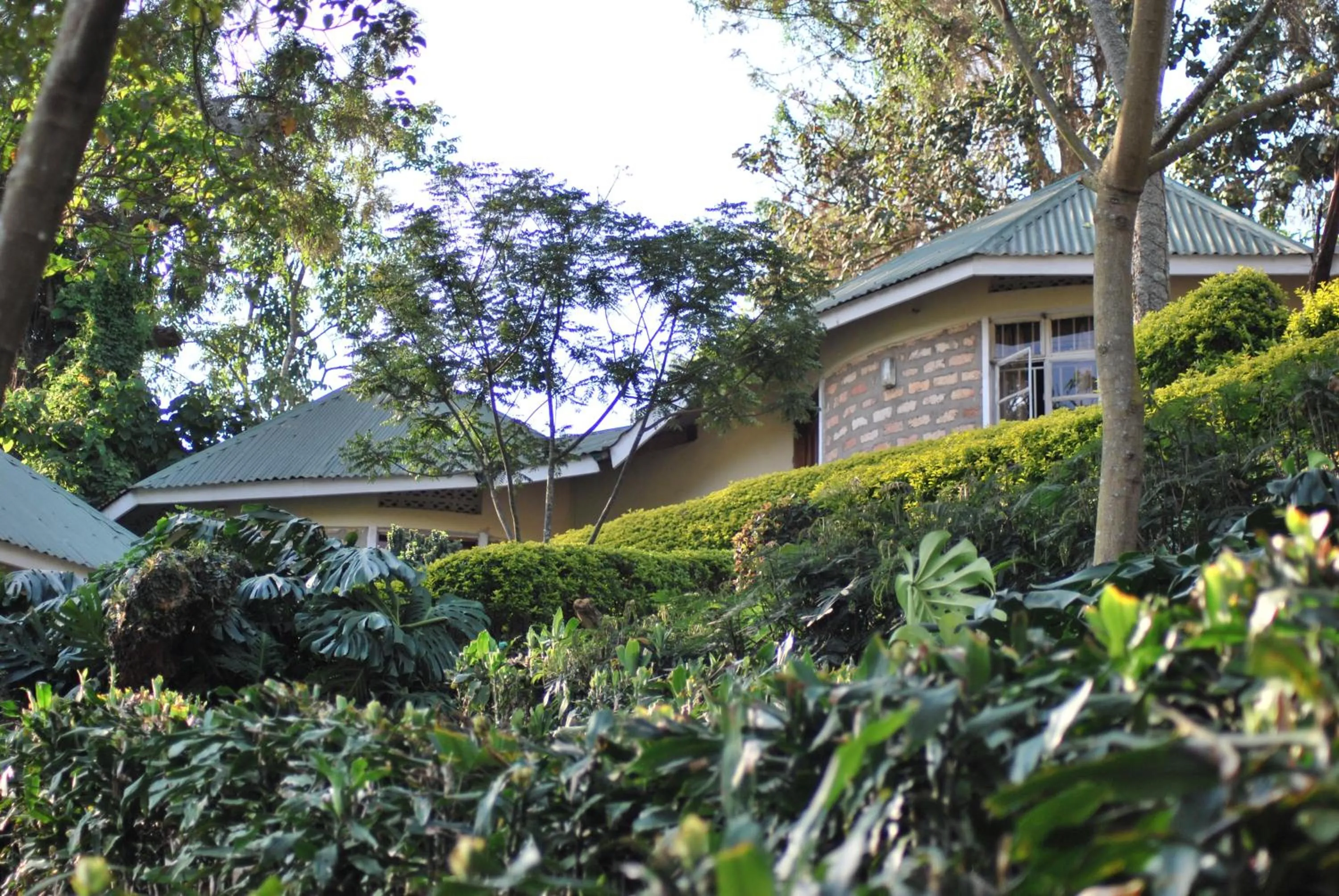 Property building in Crater Bay Cottages