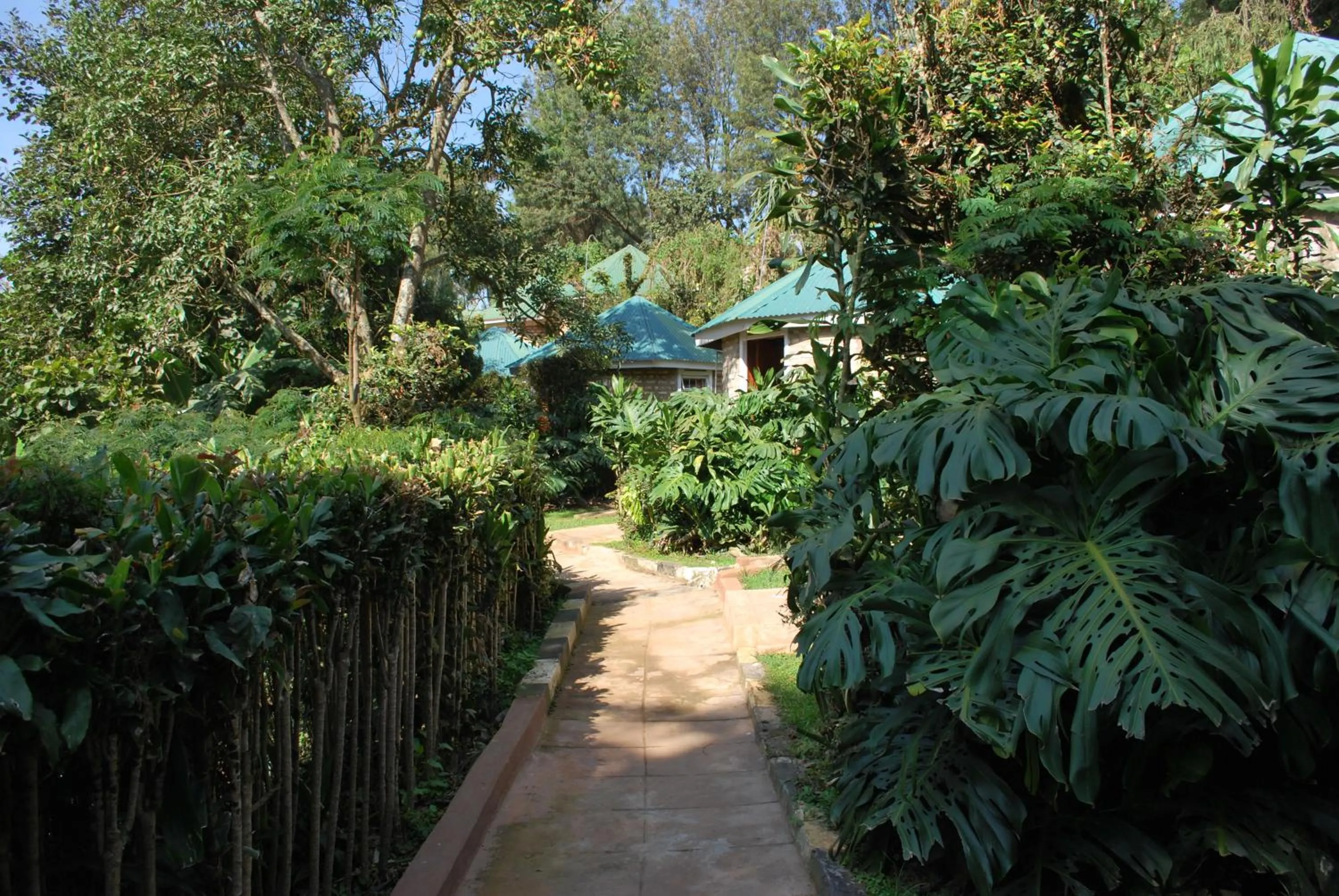 Property building in Crater Bay Cottages