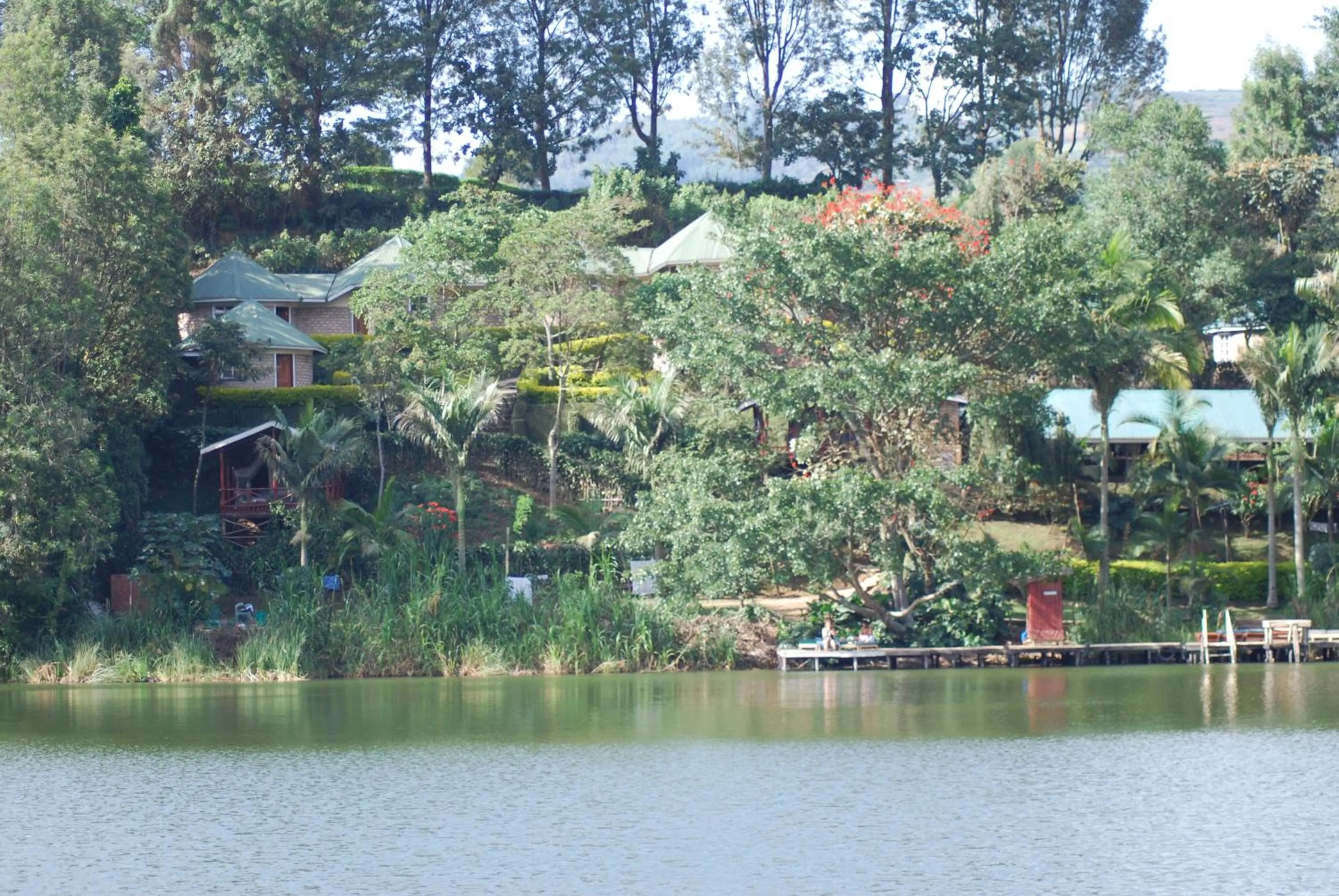 Garden in Crater Bay Cottages